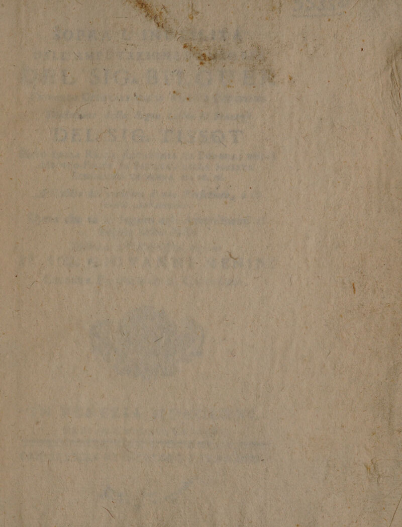 VA MESIA: w ite Tae ,