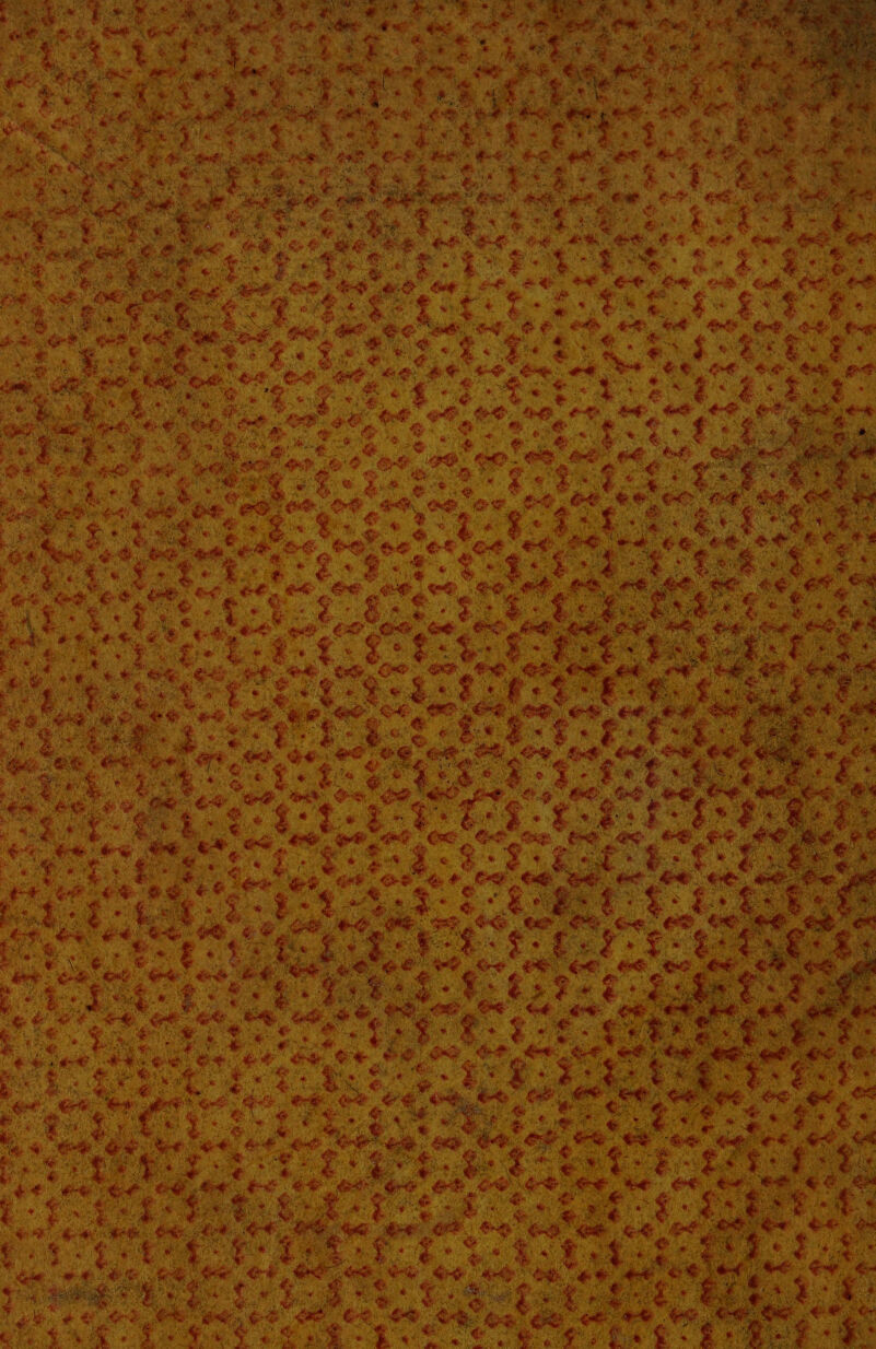 LE Mt te È cad ae pe #0 f n Se ve, ie de n Fani Do Da e “ita G a Me ssa vp A I /fg Rd ; + i, IA o co a si DR È an A gi tp Ù, N) ti 4 deg , pai Ga Sa Ca @ CR $. e Loi dè è Ù a pi a E or sel SL gh a * i » « è ® + è he h PR vÈ 8 ne. 94° i ‘0 x di e so 644 ee VO lot 20 ne i iù è ti $ È ufo “e 80 sta 3% Si x Lar sa sei CA bo. | ARIE n° n, a 4° +$ da so Re La È £ > sete La , Ga, edi st Ci © MS p ki Aaa n) 3,8 Da 1 ‘essa La 3 206 # P9; 24 ar ne 46 v Lo Se La Re ® » * € w - IL è $ 19 ERA vana TRS is fo Re i *