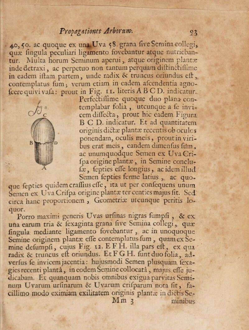 • - ** * 40,50. ac quoque ex una.Uva 58. grana five Semina collegi, qux fingula peculiari ligamento fovebantur atque nutrieban¬ tur. Multa horum Seminum aperui y atque originem plantae inde detraxi, ac perpetuo non cantum perquam diftindtiflime in eadem illam partem, unde radix <k truncus oriundus eft contemplatus funi; verum etiam in eadem afeendentia agno- fcere quivi vafa: prout in Fig. 11. literis AB CD. indicatur. Perfetliflime quoque duo plana con¬ templabar folia utcunque a fe invF cem diffefta, prout hic eadem Figura B C D. indicatur. Et ad quantitatem originis diftx plantae recentis ob oculos ponendam, oculis meis, prout in viri¬ bus erat meis, eandem dimenfus fitm , ac unumquodque Semen ex UvaCri- fpa origine planta:, in Semine conclu- fx, fepties effe longius, ac idem illud ' Semen fepties ferme latius > ac quo¬ que fepties quidem craflius effe, ita ut per confequens unum Semen ex UvaCrifpa origine plantae ter centies majus lit. Sed circa hanc proportionem , Geometriae utcunque peritis lo¬ quor. Porro maximi generis Uvas urfinas nigras lumpfi , & ex una earum tria & lexaginta grana five Semina collegi y quae fingula mediante ligamento fovebantur , ac in unoquoque Semine originem plantx effe contemplatus fum , quam ex Se¬ mine defumpfi, cujus Fig. 12. EFH. illa pars eft, ex qua radix & truncus eft oriundus. EtFGH. funt duo folia, ad- verfus fe invicem jacentia: hujusmodi Semen plusquam lexa- gies recenti planta, in eodem Semine collocata, majus effe ju¬ dicabam. Et quanquam nobis omnibus exigua parvitas Semi¬ num Uvarum urfinarum & Uvarum crifparum nota fit, fa¬ cillimo modo eximiam exilitatem originis plantx in dictis Se- Mm 3 minibus