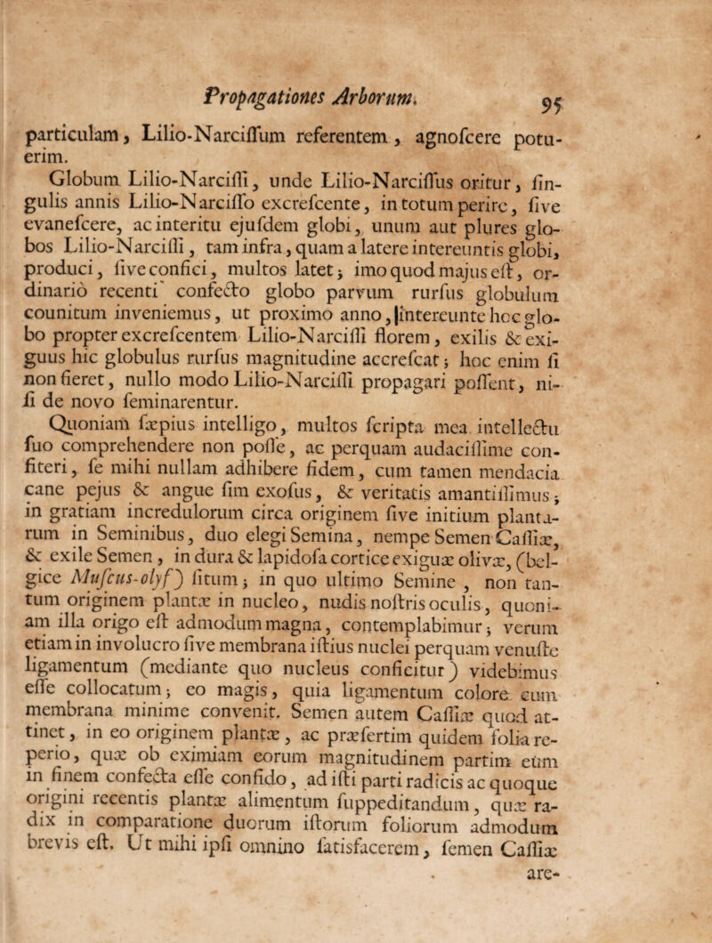 particulam, Lilio-Narciflum referentem, agnofcere potu¬ erim. Globum Lilio-Narcifli, unde Lilio-Narciflus oritur, lin¬ gulis annis Lilio-Narcifio excrefcente, in totum perire, five evanefcere, ac interitu ejufdcm globi,, unum aut plures glo¬ bos Lilio-Narcilli, tam infra, quam a latere intereuntis globi, produci, live confici, multos latet} imo quod majus eft, or¬ dinario recenti' confecto globo parvum rurfus globulum counitum inveniemus, ut proximo anno,|intereuntehccglo¬ bo propter excrefcentem Lilio-Narcifli florem, exilis & exi¬ guus hic globulus rurfus magnitudine accrefcat; hoc enim fi non fieret, nullo modo Lilio-Narcilli propagari pollent, ni¬ li de novo feminarentur. Quoniam fxpius intelligo, multos fcripta mea intellectu fuo comprehendere non poffe, ac perquam audaciflime con¬ fiteri , fe mihi nullam adhibere fidem, cum tamen mendacia cane pejus & angue fim exofus, & veritatis amantiilimus; in gratiam incredulorum circa originem five initium planta¬ rum in Seminibus, duo elegi Semina, nempe Semen Caflix, & exile Semen , in dura & lapidofa cortice exigux olivx, (bel- gice Mufcus-olyf) litum} in quo ultimo Semine , non tan¬ tum originem plantx in nucleo, nudisnoftrisoculis, quoni¬ am illa origo elt admodum magna, contemplabimur; verum etiam in involucro five membrana illius nuclei perquam venufte ligamentum (mediante quo nucleus conficitur) videbimus efle collocatum; eo magis, quia ligamentum colore eum membrana minime convenit. Semen autem Caflix quod at¬ tinet, in eo originem plantx , ac prxfertim quidem folia re- pcrio, qux ob eximiam eorum magnitudinem partim eum in finem confecta efle confido, ad illi parti radicis ac quoque origini icccnns plantx alimentum fuppeditandum, qux ra¬ dix in compaiatione duorum illorum foliorum admodum brevis eft. Ut mihi ipfi omnino latisfacercm, femen Caflix are-