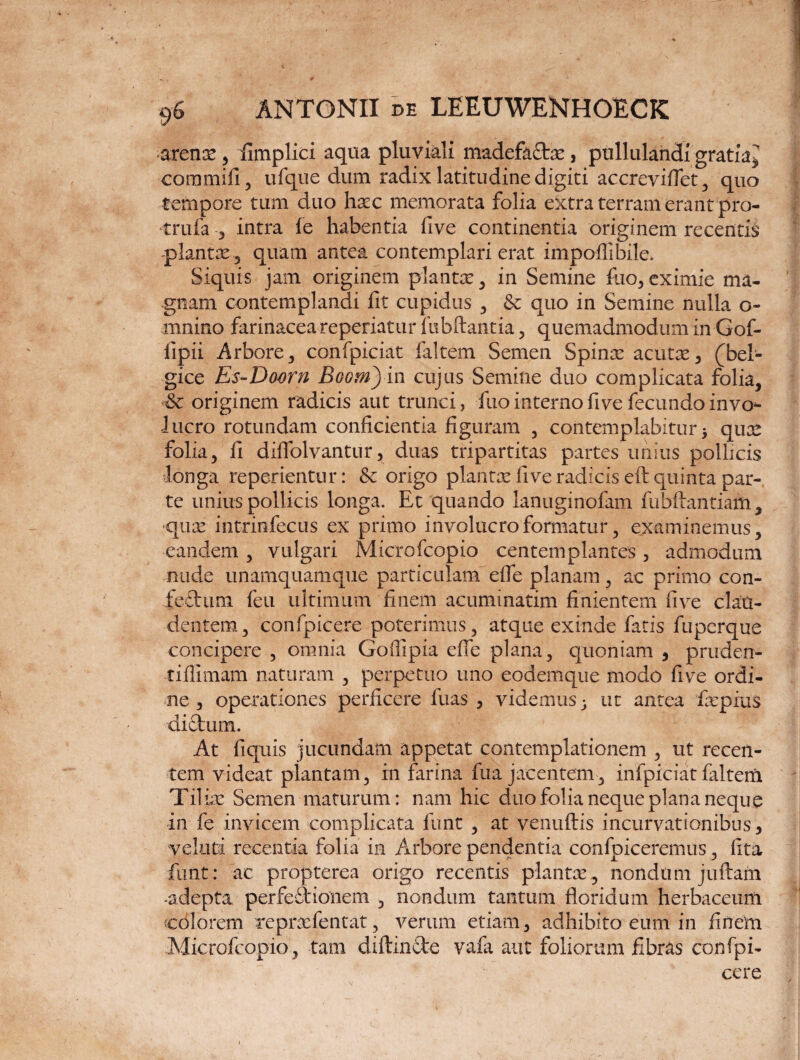 arenx, fimplici aqua pluviali madefaftx, pullulandi gratiaj commifi, ufque dum radix latitudine digiti accreviflet, quo tempore tum duo hxc memorata folia extra terram erant pro- trufa 3 intra fe habentia five continentia originem recentis -plantae •, quam antea contemplari erat impofil bile. Siquis jam originem plantx , in Semine fuo, eximie ma¬ gnam contemplandi fit cupidus , & quo in Semine nulla o- mnino farinacea reperiatur fubftantia, quemadmodum in Gof- fipii Arbore 3 confpiciat faltem Semen Spinx acutx, (bel- gice Es-Doorn Boomjin cujus Semine duo complicata folia, originem radicis aut trunci, fuo interno fi ve fecundo invo¬ lucro rotundam conficientia figuram , contemplabitur * qua^ folia, fi diflolvantur, duas tripartitas partes unius pollicis longa reperientur: & origo plantae five radicis eft quinta par¬ te unius pollicis longa. Et quando lanuginofam fubftantiam, •quae intrinfecus ex primo involucro formatur, examinemus, eandem , vulgari Microfcopio centemplantes , admodum nude unamquamque particulam efle planam, ac primo con¬ fectura feu ultimum finem acuminarim finientem five clau¬ dentem, confpicere poterimus, atque exinde faris fuperque concipere , omnia Goffipia efle plana, quoniam , pruderr- tifiimam naturam , perpetuo uno eodemque modo five ordi¬ ne , operationes perficere fuas , videmus j ut antea fxpius didtum. At fiquis jucundam appetat contemplationem , ut recen¬ tem videat plantam, in farina fua jacentem, infpiciat faltem Tilix Semen maturum: nam hic duo folia neque plana neque in fe invicem complicata funt , at venuftis incurvationibus, veluti recentia folia in Arbore pendentia confpiceremus, lita funt: ac propterea origo recentis plantae , nondum juftam •adepta perfp&ionem , nondum tantum floridum herbaceum colorem repraefentat, verum etiam, adhibito eum in finetn Microfcopio, tam diftin&e vafa aut foliorum fibras confpi¬ cere