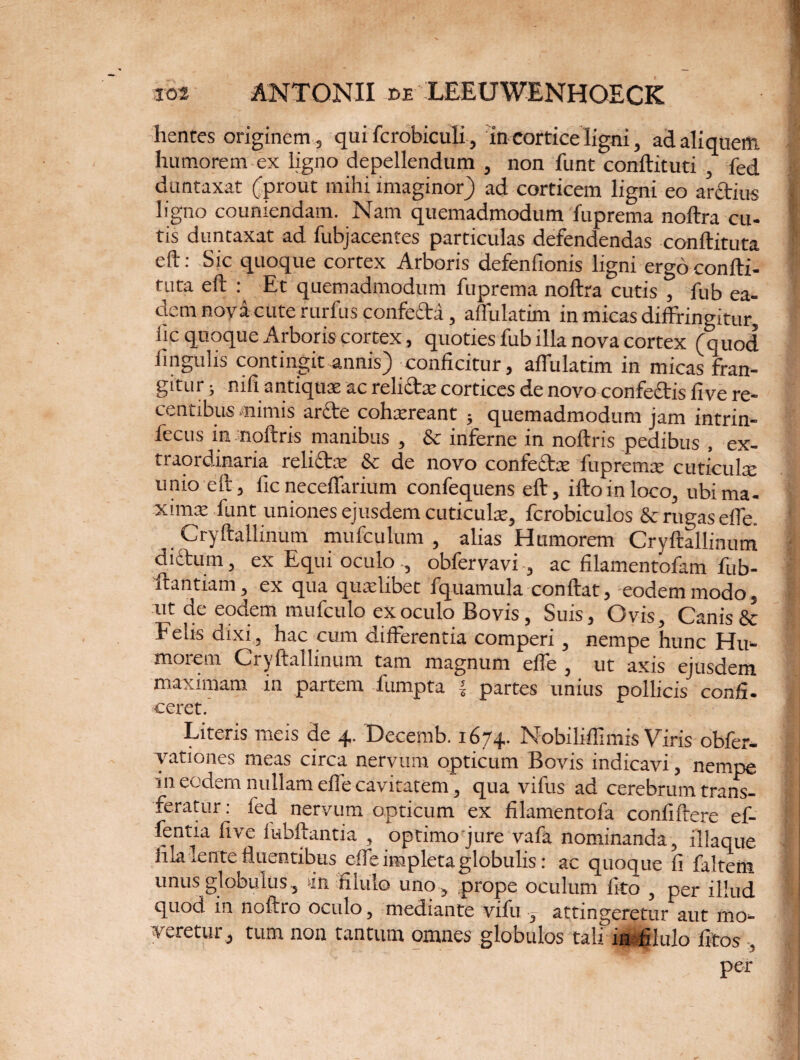 hentes originem 3 qui fcrobiculi, in cortice ligni, ad aliquem humorem ex ligno depellendum , non funt conftituti , fed duntaxat (prout mihi imaginor) ad corticem ligni eo ardius ligno couniendam. Nam quemadmodum fuprema noftra cu¬ tis duntaxat ad fubjacentes particulas defendendas conftituta eft: Sic quoque cortex Arboris defenfionis ligni ergo condi¬ tura eft : Et quemadmodum fuprema noftra cutis , fub ea¬ dem nova cute rurfus confcda, aflulatim in micas diffringitur, iic quoque Arboris cortex, quoties fub illa nova cortex (quod lingulis contingit annis) conficitur, aflulatim in micas fran¬ gitur ; nili antiquae ac relictae cortices de novo confectis live re¬ centibus mimis arde cohaereant ; quemadmodum jam intrin- fecus in noftris manibus , & inferne in noftris pedibus , ex¬ traordinaria relidae & de novo confedae fupremae cuticula unio eft, fic neceflarium confequens eft, iftoinloco, ubi ma¬ ximae-funt uniones ejusdem cuticulae, fcrobiculos & rugas effe. Cryftallinum mufculum , alias Humorem Cryftallinum dictum, ex Equi oculo., obfervavi , ac filamentofam fub- ftantiam, ex qua qualibet fquamula conftat, eodem modo, ut de eodem mufculo ex oculo Bovis, Suis, Ovis, Canis & Felis dixi, hac cum differentia comperi , nempe hunc Hu¬ morem Cryftallinum tam magnum effe , ut axis ejusdem maximam in partem fumpta i partes unius pollicis confi. ceret. Literis meis de 4. Decemb. 1674. Nobiliflimis Viris obfer- yationes meas circa nervum opticum Bovis indicavi, nempe in eodem nullam effe cavitatem, qua vifus ad cerebrum trans¬ feratur : fed nervum opticum ex filamentofa confiftere ef- fentia five lubftantia , optimo jure vafa nominanda, iliaque lila lente fluentibus effe impleta globulis: ac quoque fi faltem unus globulus, in filulo uno, prope oculum lito , per illud quod in noftro oculo, mediante vifu 3 attingeretur aut mo¬ veretur, tum non tantum omnes globulos tali ia filulo litos , per