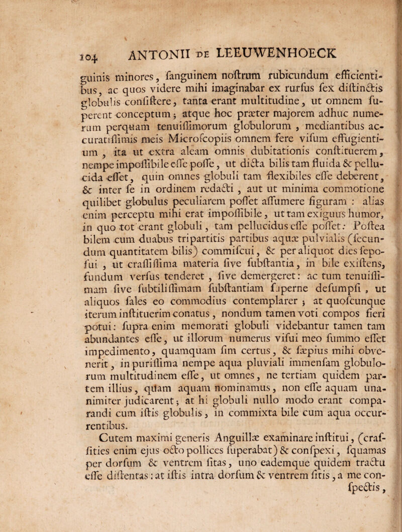 c-uinis minores , fanguinem noftrum rubicundum efficienti¬ bus, ac quos videre mihi imaginabar ex rurfus fex diftin&is globulis confiftere, tanta erant multitudine, ut omnem fu- perent conceptum * atque hoc praeter majorem adhuc nume¬ rum perquam tenuiffimorum globulorum , mediantibus ac- curatiftimis meis Microfcopiis omnem fere vifum effugienti¬ um , ita ut extra aleam omnis dubitationis conftituerem, nempe impoflibile effe poffe, ut di£ta bilis tam fluida & pellu¬ cida effet, quin omnes globuli tam flexibiles effe deberent, & inter fe in ordinem redafti , aut ut minima commotione quilibet globulus peculiarem poffet affumere figuram : alias enim perceptu mihi erat impoflibile, ut tam exiguus humor, in quo tot erant globuli, tam pellucidus effe poffet: Foftea bilem cum duabus tripartitis partibus aquae pulvialis (fecun¬ dum quantitatem bilis) commifcui, & per aliquot diesfepo- fui , ut craffiflima materia five fiibftantia, in bile exiftens, fundum verfus tenderet , five demergeret: ac tum tenuiili- mam five fubtiliffimam fubftantiam faperne defumpfi , ut aliquos fales eo commodius contemplarer $ at quofcunque iterum inftituerim conatus, nondum tamen voti compos fieri potui : fupra enim memorati globuli videbantur tamen tam abundantes effe, ut illorum numerus vifui meo fummo effet impedimento, quamquam fim certus, & faepius mihi obve¬ nerit, inpuriflima nempe aqua pluviali immenfam globulo¬ rum multitudinem effe, ut omnes, ne tertiam quidem par¬ tem illius, qitam aquam nominamus, non effe aquam una¬ nimiter judicarent; at hi globuli nullo modo erant compa* randi cum iftis globulis, in commixta bile cum aqua occur¬ rentibus. Cutem maximi generis Anguillae examinare inftitui, (craf- fities enim ejus o£to pollices fuperabat) & confpexi, fquamas per dorfum & ventrem fitas, uno eademque quidem traftu effe diftentas: at iftis intra dorfum & ventrem fitis, a me con- fpeftis, l '