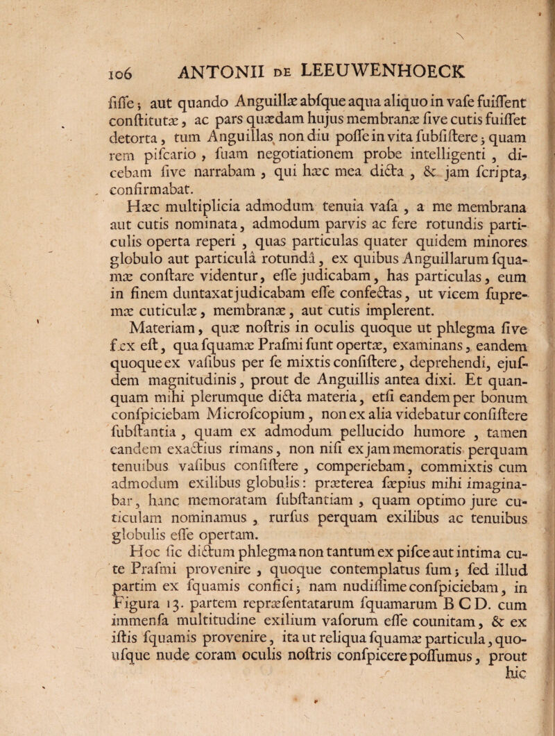 fiffe; aut quando Anguillae abfque aqua aliquo in vafefuiffent conftitutae, ac pars quaedam hujus membranae five cutis fuiffet detorta, tum Anguillas non diu poffe in vita fubfiftere 5 quam rem pifcario , fuatn negotiationem probe intelligenti , di¬ cebam Jive narrabam , qui haec mea difta , & jam fcripta, , confirmabat. Haec multiplicia admodum tenuia vafa , a me membrana aut cutis nominata, admodum parvis ac fere rotundis parti¬ culis operta reperi , quas particulas quater quidem minores globulo aut particula rotunda, ex quibus Anguillarum fqua¬ mae conflare videntur, effe judicabam, has particulas, eum in finem duataxatjudicabam effe confe£tas, ut vicem fupre- mx cuticulae, membranae, aut cutis implerent. Materiam, quae noftris in oculis quoque ut phlegma five fex eft, quafquamaePrafmifuntopertae, examinans, eandem quoque ex vafibus per fe mixtis confiftere, deprehendi, ejuf- dem magnitudinis, prout de Anguillis antea dixi. Et quan- quam mihi plerumque difta materia, etfi eandem per bonum confpiciebam Microfcopium, non ex alia videbatur confiftere fubftantia , quam ex admodum pellucido humore , tamen eandem exaftius rimans, non nifi ex jam memoratis perquam tenuibus vafibus confiftere , comperiebam, commixtis cum admodum exilibus globulis: praeterea faepius mihi imagina¬ bar , hanc memoratam fubftantiam , quam optimo jure cu¬ ticulam nominamus , rurfus perquam exilibus ac tenuibus globulis effe opertam. Hoc fic didfcum phlegma non tantum ex pifce aut intima cu¬ te Prafmi provenire , quoque contemplatus fum 5 fed illud partim ex fquamis confici > nam nudiffime confpiciebam, in Figura 13. partem repraefentatarum fquamariim BCD. cum immenfa multitudine exilium vaforum effe counitam, & ex iftis fquamis provenire, ita ut reliqua fquamae particula, quo¬ ti fque nude coram oculis noftris confpicerepoffumus, prout -/* hic *• 1