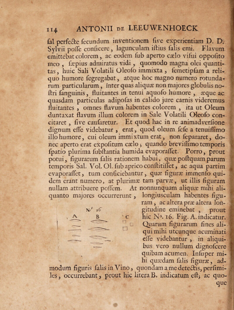 / ii* ANTONII de LEEUWENHOECK fal perfe&e fecundum inventionem fi ve experientiam D. D. Sylvii poflfe conficere, lagunculam illius falis emi. Flavum emittebat colorem, ac eodem fub aperto caslo vifui oppolito meo , faspius admiratus vidi , quomodo magna olei quanti¬ tas, huic Sali Volatili Oleofo immixta , femetipfam a reli¬ quo humore fegregabat, atque hoc magno numero rotunda¬ rum particularum, inter quas aliquae non majores globulis no- ftri fanguinis, fluitantes in tenui aquofo humore , reque ac quasdam particulas adipofas in calido jure carnis videremus fluitantes , omnes flavum habentes colorem , ita ut Oleum duntaxat flavum illum colorem in Sale Volatili Oleofo con¬ citaret , five caufaretur. Et quod hac in re animadverfione dignum effe videbatur , erat, quod oleum fele a tenuiflimo illo humore, cui oleum immixtum erat, non fepararet, do¬ nec aperto erat expolitum cado * quando breviffimo temporis fpatio plurima fubllantia humida evaporaflet. Porro, prout potui, figurarum falis rationem habui, quaspollquamparum temporis Sal. Vol. Ol. fub aprico conflitiffet, ac aqua partim evaporalfet, tum conficiebantur, quas figuras immenfo qui¬ dem erant numero, at plurimas tam parvas, ut illis figuram nullam attribuere poffem. At nonnumquam aliqure mihi ali¬ quanto majores occurrerunt , longiusculam habentes figu- □ D □ ram, ac altera pras altera lon¬ gitudine eminebat , prout hic N°. 16. Fig. A. indicatur. Quarum figurarum fines ali¬ qui mihi utcunque acuminati elfe videbantur , in aliqui¬ bus vero nullum dignofcere quibam acumen. In fu per mi¬ hi quasdam falis figurae, ad- A J :& m modum figuris falis in Vino, quondam a me dete&ris, perfimi- les, occurrebant, prout hic UteraB. indicatum eft> ac quo¬ que