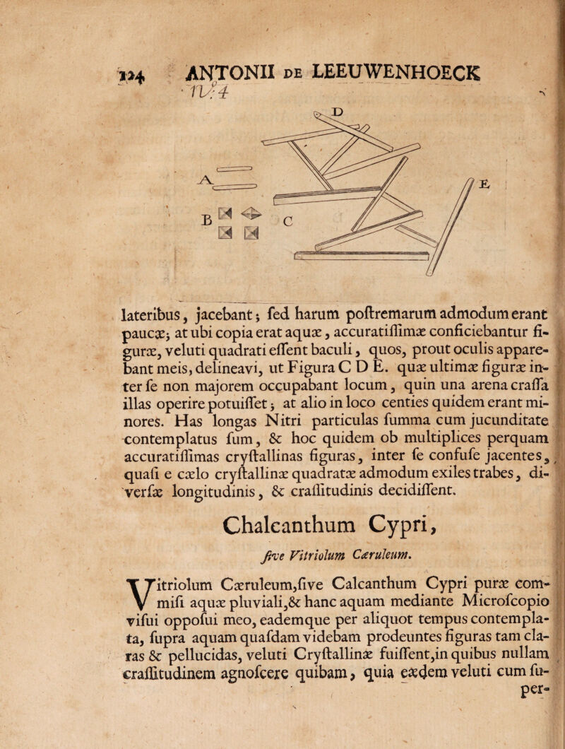 lateribus, jacebant; fed harum poftremarum admodum erant paucjEj at ubi copia erat aqux, accuratiflimae conficiebantur fi¬ gurae, veluti quadrati edent baculi, quos, prout oculis appare¬ bant meis, delineavi, ut Figura CDE. quae ultimae figurae in- ter fe non majorem occupabant locum, quin una arena crafla illas operire potuiffet; at alio in loco centies quidem erant mi- 1] nores. Has longas Nitri particulas fumma cum jucunditate contemplatus fum, & hoc quidem ob multiplices perquam accuratiilimas cryftallinas figuras, inter fe confufe jacentes, quali e caelo cryftallinae quadratae admodum exiles trabes, di- verfae longitudinis, & crallitudinis decidifient. Chaleanthum Cypri, Jive Viiriolum Carui eum. Vitriolum Caeruleum,Uve Calcanthum Cypri puras com- mifi aquas pluviali^ hanc aquam mediante Microfcopio vifui oppofui meo, eademque per aliquot tempus contempla¬ ta, fupra aquam quafdam videbam prodeuntes figuras tam cla- § ras & pellucidas, veluti Cryftallinas fuiffent,in quibus nullam craffitudinem agnofcexe quibam, quia e&dem veluti cum fu- per-