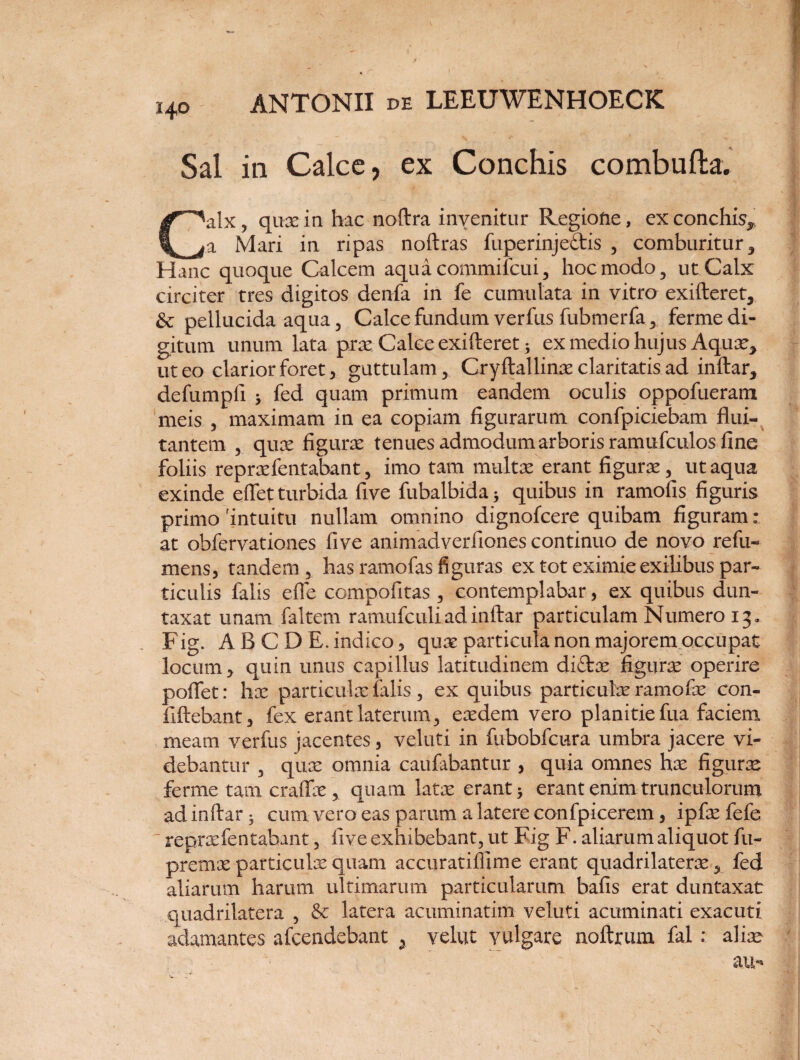 Sal in Calce, ex Conchis combufta. Calx, quae in hac noftra inYenitur Regione, ex conchis^ a Mari in ripas noftras fuperinje&is , comburitur , Hanc quoque Calcem aqua commilcui, hoc modo, ut Calx circiter tres digitos denfa in fe cumulata in vitro exifteret, pellucida aqua, Calce fundum verfus fubmerfa, ferme di¬ gitum unum lata prae Calce exifteret; ex medio hujus Aquae* ut eo clarior foret, guttulam, Cryftallinae claritatis ad inftar* defumpfi > fed quam primum eandem oculis oppofueram meis , maximam in ea copiam figurarum confpiciebam flui¬ tantem , quae figurae tenues admodum arboris ramufculos fine foliis repraefentabant, imo tam multae erant figurae, ut aqua exinde eflet turbida five fubalbida * quibus in ramofis figuris primo 'intuitu nullam omnino dignofcere quibam figuram: at obfervationes five animadverfiones continuo de novo refu- mens, tandem, has ramofas figuras ex tot eximie exilibus par¬ ticulis falis efle compofitas, contemplabar, ex quibus dun- taxat unam faltem ramufculiadinftar particulam Numero 13« Fig. ABC DE. indico, quae particula non majorem occupat locum, quin unus capillus latitudinem di£tae figurae operire poflet: hae particulae falis , ex quibus particulae ramofae con- fiftebant, fex erant laterum, eaedem vero planitie fua faciem meam verfus jacentes, veluti in fubobfcura umbra jacere vi¬ debantur , quae omnia caufabantur , quia omnes hae figurae ferme tam craflae, quam latae erant * erant enim trunculorum adinftar^ cum vero eas parum a latere confpicerem, ipfaefefe repraefentabant, five exhibebant, ut Fig F. aliarum aliquot fu- premx particube quam ac cur at i Ili me erant quadrilaterae, fed aliarum harum ultimarum particularum bafis erat duntaxat quadrilatera , & latera acuminatim veluti acuminati exacuti, adamantes afcendebant 5 velat vulgare noftrum fal: aliae au-