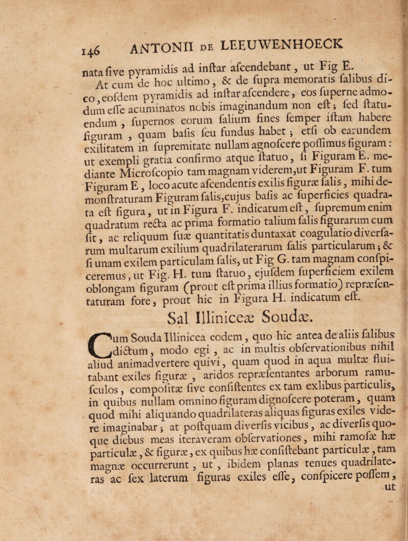 natafive pyramidis ad inftar afcendebant, ut Fig E. At cum de hoc ultimo, & de fupra memoratis talibus di¬ co eofdem pyramidis ad inftar afcendere, eos fu perne admo¬ dum effe acuminatos nobis imaginandum non eft; fed ftatu- endum fupernos eorum felium fines femper iftam habere figuram , quam bafis feu fundus habet; etfi ob earundem exilitatem in fupremitate nullam agnofcefe poffimus figuram: ut exempli gratia confirmo atque ftatuo, fi Figuram E. me¬ diante Microfcopio tam magnam viderem,ut Figuram F. tum Figuram E, loco acute afcendentis exilis figuras falis, mihi de- monftraturam Figuram falis,cujus bafis ac fuperficies quadra- S eft figura, utinFigura F. indicatum eft, fupremum enim quadratum rccla ac prima formatio talium talis figuiarum cum fit ,' ac reliquum fux quantitatis duntaxat coagulatio diverfa- rum multarum exilium quadrilaterarum falis particularum; & fi unam exilem particulam talis, ut Fig G. tam magnam confpi- ceremus, ut Fig. H. tum ftatuo, ejufdem fuperficiem exilem oblongam figuram (prout eft prima illius formatio) reprxfea- taturam fore5 prout hic in Figura H. indicatum efh Sal Illiniceas Souche. Cum Souda Illinicea eodem ? quo hic antea de aliis falibus diarum 5 modo egi , ac in multis obfervationibus nihil aliud animadvertere quivi 5 quam quod in aqua multae flui¬ tabant exiles figura: , aridos repnefentantes arborum ramu» fculos, compolitae five confiftentes ex tam exlibus particulis* in quibus nullam omnino figuram dignofcere poteram y quam quod mihi aliquando quadrilateras aliquas figuras exiles vide¬ re imaginabar; at poftquam diverfis vicibus 3 ac diverfis quo¬ que diebus meas iteraveram obfervationes 3 mihi ramofae hx particulae 5 & figurae5 ex quibus hae confiftebant particula 5 tam magnae occurrerunt 5 ut , ibidem planas tenues quadrilate¬ ras ac fex laterum figuras exiles effe5 confpicere poflem *