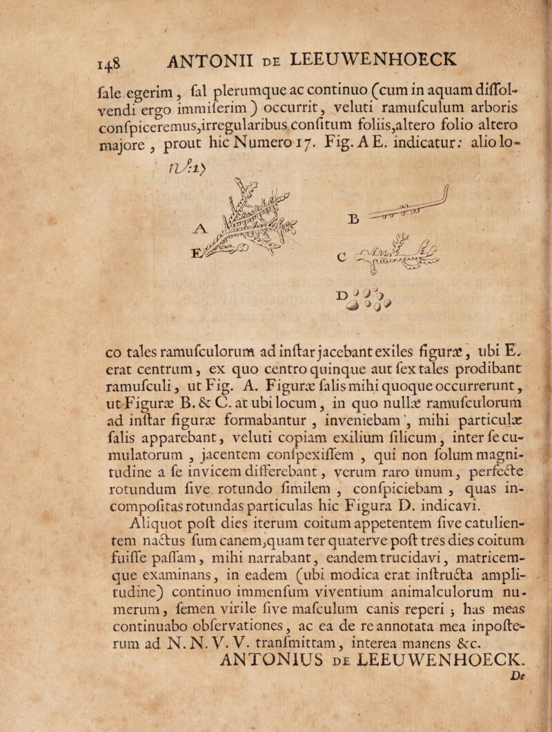 fale egerim, fal plerumque ac continuo (cum in aquam difTol» vendi ergo immiferim) occurrit, veluti ramufculum arboris confpiceremus,irregularibus confitum foliis,altero folio altero majore, prout hic Numero 17. Fig. AE. indicatur: alio lo* - 1 nJi) D a % «J» * Q ^ co tales ramufculorum ad inftar jacebant exiles figura, ubi E. erat centrum, ex quo centro quinque aut fex tales prodibant ramufculi, ut Fig. A. Figura falis mihi quoque occurrerunt, ut Figurae B.&C. at ubi locum, in quo nullae ramufculorum ad inftar figuras formabantur , inveniebam ', mihi particulx falis apparebant, veluti copiam exilium filicum, interfecu¬ mulatorum , jacentem confpexiffem , qui non folum magni¬ tudine a fe invicem differebant, verum raro unum, perfefte rotundum five rotundo fimilem , confpiciebam , quas in- compofitas rotundas particulas hic Figura D. indicavi. Aliquot poft dies iterum coitum appetentem live catulien¬ tem naftus fum canem,quam ter quaterve poft tres dies coitum fuiffe paffam, mihi narrabant, eandem trucidavi, matricem¬ que examinans, in eadem (ubi modica erat inftru&a ampli¬ tudine) continuo immenfum viventium animalculorum nu¬ merum , femen virile five mafculum canis reperi * has meas continuabo obfervationes, ac ea de re annotata mea inpofte- rum ad N. N. Y. V- tranfmittam, interea manens &x. ANTONIUS de LEEUWENHOECK*