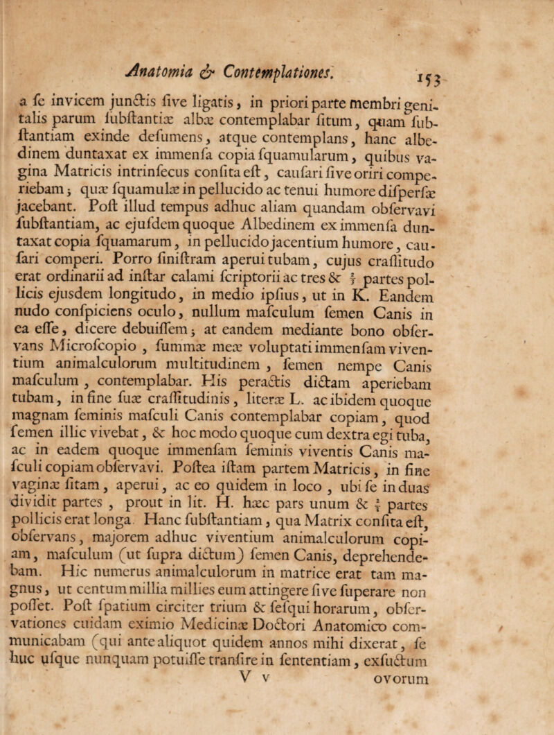 a fc invicem jundis live ligatis, in priori parte membri geni¬ talis parum lubftantix albx contemplabar litum, quamfub¬ ftantiam exinde defumens, atque contemplans, hanc albe- dinem duntaxat ex immenfa copia fquamularum, quibus va¬ gina Matricis intrinfecus confitaeft, caufari live oriri compe- riebam; qux fquamulx in pellucido ac tenui humore difperfx jacebant. Poft illud tempus adhuc aliam quandam obfervavi fubftantiam, ac ejufdem quoque Albedinem ex immenfa dun¬ taxat copia fquamarum, in pellucido jacentium humore, cau- fari comperi. Porro finiftram aperui tubam, cujus craffitudo erat ordinarii ad inftar calami feriptorii ac tres 8c f partes pol¬ licis ejusdem longitudo, in medio ipfius, ut in K. Eandem nudo confpiciens oculo, nullum mafculum femen Canis in ea efie, dicere debuilfem; at eandem mediante bono obfer- vans Microfcopio , fummx mex voluptati immenfam viven¬ tium animalculorum multitudinem , femen nempe Canis mafculum , contemplabar. Elis peractis didam aperiebam tubam, in fine fux craftltudinis , literx L. ac ibidem quoque magnam feminis mafculi Canis contemplabar copiam, quod femen illic vivebat, & hoc modo quoque cum dextra egi tuba, ac in eadem quoque immenfam feminis viventis Canis ma¬ fculi copiam obfervavi. Poftea iftam partem Matricis, in fine vaginx fitam, aperui, ac eo quidem in loco , ubife induas dividit partes , prout in lit. H. hxc pars unum & 4 partes pollicis erat longa. Elanc fubftantiam, qua Matrix confitaeft, obfervans, majorem adhuc viventium animalculorum copi¬ am , mafculum (ut fupra dictum) femen Canis, deprehende¬ bam. Hic numerus animalculorum in matrice erat tam ma¬ gnus, ut centum millia millies eum attingere fivefuperare non pofiet. Poft fpatium circiter trium & fefqui horarum, obfer- vationes cuidam eximio Medicinx Dodori Anatomico com¬ municabam (qui ante aliquot quidem annos mihi dixerat, fe huc ufque nunquam potmfTetranfirein fententiam, exfudum