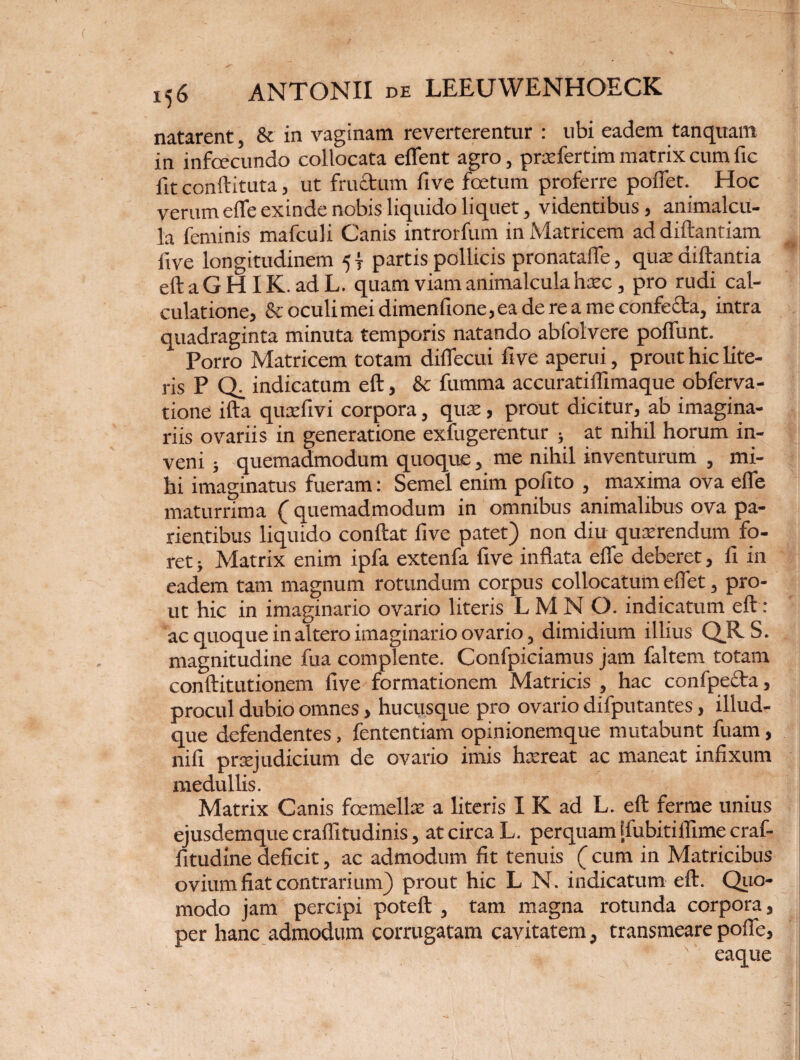 natarent, & in vaginam reverterentur : ubi eadem tanquam in infcecundo collocata effent agro, prcefertim matrix cum fic fit conftituta, ut fructum five fcetum proferre pollet. Hoc verum ede exinde nobis liquido liquet, videntibus, animalcu- la feminis mafculi Canis introrfum in Matricem addiftantiam five longitudinem 5 f partis pollicis pronatafle, qua: aiftantia eftaGHIK. adL. quam viamanimalculahcec , pro rudi cal¬ culatione, & oculi mei dimenfione,ea de re a mc confecta, intra quadraginta minuta temporis natando ablolvere poffunt. Porro Matricem totam dilfecui five aperui, prout hic lite¬ ris P CE indicatum eft, & fumma accuratiifimaque obferva- tione ifta quxfivi corpora, qua:, prout dicitur, ab imagina¬ riis ovariis in generatione exfugerentur ■, at nihil horum in¬ veni ; quemadmodum quoque, me nihil inventurum , mi¬ hi imaginatus fueram: Semel enim pofito , maxima ova elfe maturrima (quemadmodum in omnibus animalibus ova pa- rientibus liquido conftat five patet) non diu quaerendum fo¬ ret ; Matrix enim ipfa extenfa five inflata efle deberet, fi in eadem tam magnum rotundum corpus collocatum eflet, pro¬ ut hic in imaginario ovario literis LMN O. indicatum eft: ac quoque in altero imaginario ovario, dimidium illius QJR. S. magnitudine fua complente. Confpiciamus jam faltem totam conftitutionem five formationem Matricis , hac confpecta, procul dubio omnes, hucusque pro ovario difputantes, illud- que defendentes, fententiam opinionemque mutabunt fuam, nifi prcejudicium de ovario imis hrereat ac maneat infixum medullis. Matrix Canis fcemelbe a literis I K ad L. eft ferme unius ejusdemque craffitudinis, at circa L. perquam [fubitilTime craf- fitudine deficit, ac admodum fit tenuis ( cum in Matricibus ovium fiat contrarium) prout hic L N. indicatum eft. Quo¬ modo jam percipi poteft , tam magna rotunda corpora, per hanc admodum corrugatam cavitatem, transmeare pofle, * ' eaque