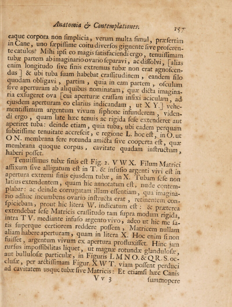 lf7' caqiie corpora non fimplicia, verum multa fimul, prefertim in Cane, uno fxpiliime coitu diverfos gignente five proferen- tccatulos? Mihi ipft eo magisfatisfaciendiergo, tenuiffimam tubx partem ab imaginario o vano feparavi, acdiffolvi Talias ennn longitudo five finis extremus tubx non erat agnofcen- dus ] & ubi tuba fuam habebat craifitudinem , eandem filo quodam obligavi , partim , quia in eam partem ofculum live aperturam ab aliquibus nominatam, qux difta imagina¬ ria exfugerct ova [cui apertura craffiam infixi aciculam ad ejusdem aperturam eo clarius indicandam , ut X Y ] vehe mentiffimum argentum vivum fiphone infunderem , vidcn- di erS° > T,am late hxc tenuis ac rigida fefe extenderet aut aperiret tuba: deinde etiam, quia tuba, ubi eadem perquam ibitiflime tenuitate accrefcit, e regione L. hoc eft, inO ut O N. membrana fere rotunda amicta five cooperta eft que Erirpo[ret.UO<1Ue C°rpUS ’ CavitatC <luadam inftrudL, Tenuiffimustubx finis eft Fig. 2. V WX. Filum Matrici affixum five alligatum eft in T. & infufio argenti vivi eft in apertura extremi finis ejusdem tuba:, inX. Tubam fefe non labiis extendentem, quam hic annotatum eft, nude contem- p-aoar : ac uemde corrugatam illam effientiam, qua imagina¬ rio adhuc incumbens ovario inftrucfa erat , retinentem con- fpiciebam, prout hic litera W. indicatum eft : & protere , extendebat fefe Matricis craffitudo tam fupra modum rigida intra TV. mediante infufo argento vivo, adeo ut hic me ia’ tis fuperque certiorem reddere poffem , Matricem nullam* aliam habere aperturam, quam in litera X. Hoc enim fi non findet, argentum vivum ex apertura profluxiftet. Hinc iam rurfus impoihbilitas liquet, ut magna: rotunda: glandulofe aut bullulofir particula, m Figuris LMNO.&QR..S oc- cluix, per archlhmam Figur. X W T. viam poffiem perduci ad cavitatem usque tubx five Matricis: Et etiamfi hxc Canis 'Rf • *' * V v 3 fummopere
