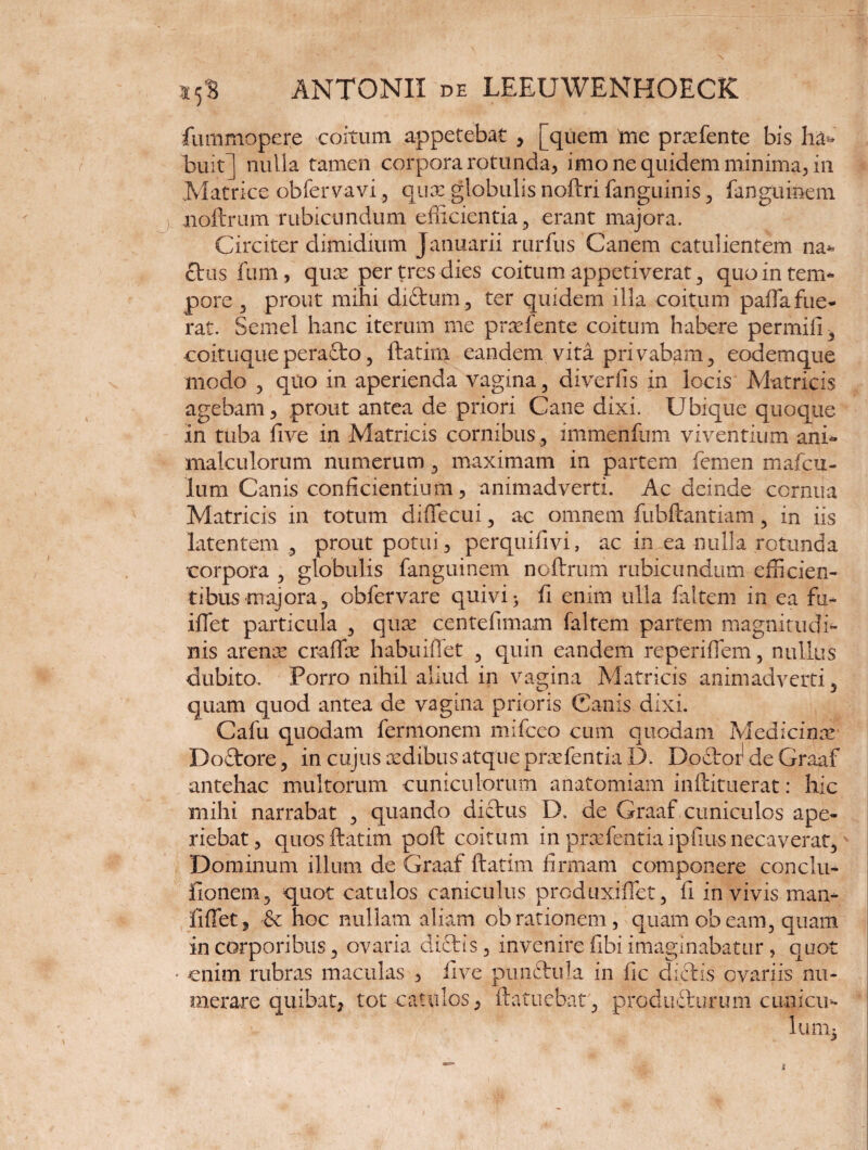 fummopere coitum appetebat , [quem me prxfente bis buit] nulla tamen corpora rotunda, imo ne quidem minima, in Matrice obfervavi , qux globulis noftri fanguinis, fangumem .noftrum rubicundum efficientia, erant majora. Circiter dimidium Januarii rurfus Canem catulientem na* etusFum, qux per tres dies coitum appetiverat, quointem- pore , prout mihi diftum, ter quidem illa coitum paffa fue¬ rat. Semel hanc iterum me prxfente coitum habere permili, coituqueperafto, ftatirn eandem vita privabam, eodemque modo , quo in aperienda vagina, diverfis in locis Matricis agebam, prout antea de priori Cane dixi. Ubique quoque in tuba five in Matricis cornibus , immenfum viventium ani* maleulorum numerum, maximam in partem femen mafeu- lum Canis conficientium, animadverti. Ac deinde cornua Matricis in totum diffecui, ac omnem fubftantiam, in iis latentem , prout potui, perquifivi, ac in ea nulla rotunda •corpora , globulis fanguinem noftrum rubicundum ef5cien¬ tibus majora, oblervare quivi; ii enim ulla faltem in ea fu- iffet particula , qux centefimam faltem partem magnitudi¬ nis arenx craffx habuiflet , quin eandem reperiffem, nullus dubito. Porro nihil aliud in vagina Matricis animadverti, quam quod antea de vagina prioris Canis dixi. Cafu quodam fermonem mifceo cum quodam Medicinx Dodtore, in cujus xdibus atqueprxfentia D. Doctor1 de Graaf antehac multorum cuniculorum anatomiam inftituerat: hic mihi narrabat , quando dictus D. de Graaf cuniculos ape¬ riebat, quos ftatirn poft coitum in prxfentia ipfius necaverat. Dominum illum de Graaf ftatirn firmam componere conclu- fionem, quot catulos caniculus produxiftet, fi in vivis man- fiffet, & hoc nullam aliam obrationem, quam obeam, quam in corporibus, ovaria dittis, invenire fibi imaginabatur, quot • enim rubras maculas , live punftula in fle dictis ovariis nu¬ merare quibat, tot catulos, ftatuebar, produfturum cunicii-