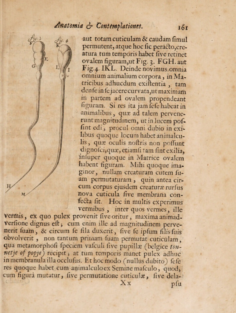 t 4 aut totam cuticulam & caudam fimul permutent, atque hoc fic peracto,cre¬ atura tum temporis habet five retinet ovalem figuram,ut Fig. 3. FGH. aut Fig.4. IKL. Deinde novimus,omnia omnium animalium corpora, in Ma¬ tricibus adhucdum exiftentia , tam denfe in fe jacere curvata,ut maximam in partem ad ovalem propendeant figuram. Si res ita jam fefe habeat in animalibus , qux ad talem pervene¬ runt magnitudinem, ut in lucem pof- fint edi, procul omni dubio in exi*- libus quoque locum habet animalcu- lis, qux oculis noftris non pofiunt dignofci,qua*, etiamli tam fint exilia, infuper quoque in Matrice ovalem habent figuram. Mihi quoque ima* gmor j nullam creaturam cutem fu- am permutaturam , quin antea cir¬ cum corpus ejusdem creaturae rurfus nova cuticula five membrana con- fe£ta fit. Hoc in multis experimus vermibus , inter quos vermes, ille Vermis, ex quo pulex provenit five oritur, maxima animad- verfione dignus eft> cum enim ille ad magnitudinem perve¬ nerit fuatn, & circum fe fila duxerit, five fe ipfum filisfuis obvolverit , non tantum primam fuam permutat cuticulam, qua metamorphofi fpeciem vafculi five pupillx (belgice ton- netje of popje) recipit * at tum temporis manet pulex adhuc in membranula illa occlufus. Et hoc modo (nullus dubito} fefe res quoque habet cum animalculoex Semine mafculo, quod, cum figura mutatur, five permutatione cuticulae, five dela- Xx pfu