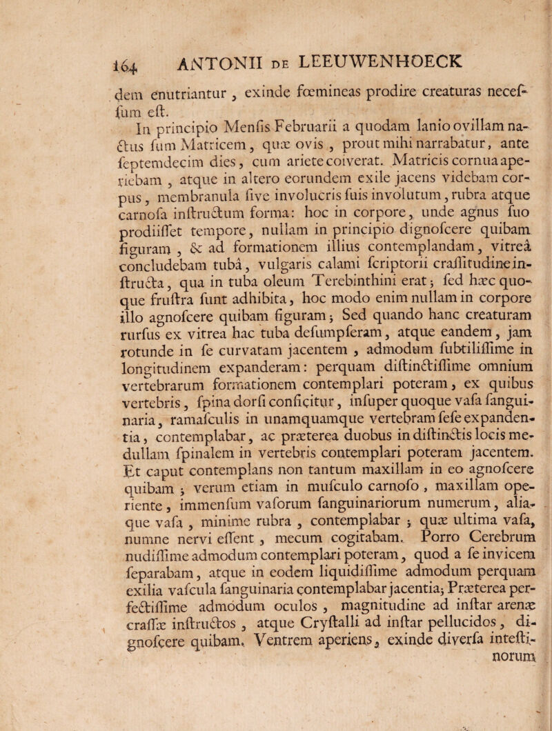 dem enutriantur , exinde foemineas prodire creaturas necef- fum eft. In principio Menfis Februarii a quodam lanio ovillam na- ftus fu m Matricem, quae ovis , prout mihi narrabatur, ante feotemdecim dies, cum ariete coiverat. Matricis cornua ape¬ riebam , atque in altero eorundem exile jacens videbam cor¬ pus , membranula five involucris fuis involutum, rubra atque carnofa inftructum forma: hoc in corpore, unde agnus fuo prodiiftet tempore, nullam in principio dignofcere quibam figuram , & ad formationem illius contemplandam, vitrea concludebam tuba, vulgaris calami fcriptoni craflitudinein- ftructa, qua in tuba oleum Terebinthini erat; fed hxcquo¬ que fruftra funt adhibita, hoc modo enim nullam in corpore illo agnofcere quibam figuram3 Sed quando hanc creaturam rurfus ex vitrea hac tuba defumpferam, atque eandem, jam rotunde in fe curvatam jacentem , admodum fubtiliffime in longitudinem expanderam: perquam diftin&iffime omnium vertebrarum formationem contemplari poteram, ex quibus vertebris, fpina dorfi conficitur, infuper quoque vafa fangui- naria, ramafculis in unamquamque vertebram fefe expanden¬ tia, contemplabar, ac prxterea duobus indiftinctis locis me¬ dullam fpinalem in vertebris contemplari poteram jacentem. Et caput contemplans non tantum maxillam in eo agnofcere quibam ; verum etiam in mufculo carnofo , maxillam ope¬ riente , immenfum vaforum fanguinariorum numerum, alia¬ que vafa , minime rubra , contemplabar i qux ultima vafa, nurnne nervi eflent , mecum cogitabam. Porro Cerebrum nudiftime admodum contemplari poteram, quod a fe invicem feparabam, atque in eodem liquidiffime admodum perquam exilia vafcula fanguinaria contemplabar jacentia3 Praeterea per- fe£tifTime admodum oculos , magnitudine ad inftar arena: cradie i nftr lictos , atque Cryftalli ad inftar pellucidos, di¬ gnofcere quibam. Ventrem aperiensa exinde diverfa intefti- norum.