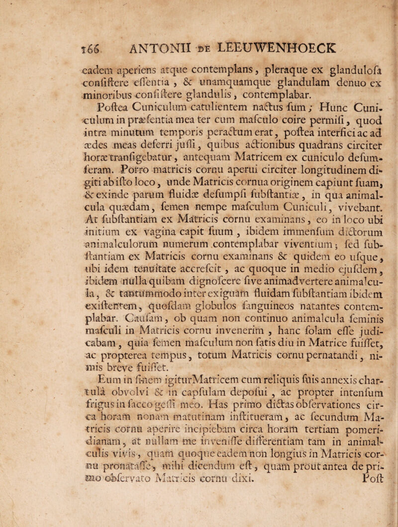 eadem aperiens atque contemplans, pleraque ex glandulofa conliftcre eflentia , & unamquamque glandulam dentio ex minoribus confidere glandulis, contemplabar. Poftea Cuniculum catulientem naftus fum; Hunc Cuni¬ culum in pr^fentia mea ter cum mafculo coire permifi, quod intra minutum temporis peraftum erat, poftea interfici ac ad redes meas deferri juffi, quibus aftionibus quadrans circitet horxtran figebatur, antequam Matricem ex cuniculo defum- feram. Porro matricis cornu aperui circiter longitudinem dff giti ab ifto loco , unde Matricis cornua originem capiunt fuam, & exinde parum fluidx defumpfi fubftantire, in qua animal- cula quxdam, femen nempe niafculum Cuniculi, vivebant. At fubftantiam ex Matricis cornu examinans , eo in loco ubi initium ex vagina capit itium , ibidem immenfum di£torum animalculorum numerum .contemplabar viventium5 fed fub¬ ftantiam ex Matricis cornu examinans & quidem eo ufque, ubi idem tenuitate accrefcit , ac quoque in medio ejufdem, ibidem nulla quibam dignofcere five animadvertere animalcu- k, & tantummodo inter exiguam fluidam fubftantiam ibidem exiften'tem? quofdam globulos fanguineos natantes contem¬ plabar. Caulam, ob quam non continuo animaicula feminis mafculi in Matricis cornu invenerim , hanc folam efle judi¬ cabam , quia femen mafculum non fatis diu in Matrice fuifiet, ac propterea tempus , totum Matricis cornu pernatandi, ni¬ miis breve fuifiet. Eum in finem igitur Matricem cum reliquis filis annexus char¬ tula obvolvi lk iii capfulam depoiui , ac propter intenfum frigus in faccogeili meo. Has primo diftas obfervationes cir¬ ca horam nonam matutinam inftitueram, ac fecundum Ma¬ tricis cornu aperire incipiebam circa horam tertiam pomerf- dianam 5 at nullam me inveni (Te differentiam tam in animal- culis vivis, quam quoque eadem non longius in Matricis cor¬ nu pronatafie, mihi dicendum eft, quam prout antea depri¬ mo obfervato Matricis cornu dixi. Poft