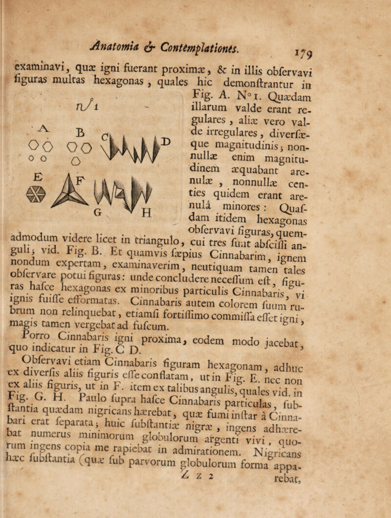 .179 examinavi, quae igni fuerant proximae, & in illis obfervavi figuras multas hexagonas , quales hic demonftrantur in • ; . Fig- A. N° 1. Quaedam n/1 - illarum valde erant re¬ gulares , aliae vero val¬ de irregulares, diverfx- que magnitudinis} non- nullx enim magnitu¬ dinem xquabant are- nulae , nonnullae cen¬ ties quidem erant are- nuld minores: Quaf- dam itidem hexagonas admodum videre licet in triangulo, cuUreTfm^abfaffiTn- guhj vid. Fig. B. Et quamvis fxpius Cinnabarim, ignem nondum expertam, examinaverim, neutiquam tamenStales obfer vare potui figuras: unde concludere neceflhm eft fio-u. ras hafce hexagonas ex minoribus particulis Cinnabaris vi ignis finde efformatas. Cinnabaris autem colorem fimm ru Drum non relinquebat, etiamfi fortiffimocommiflkefl'etmni magis tamen vergebat ad fufcum. ” fc 5 Porro Cinnabaris igni proxima, eodem modo jacebat quo indicatur in Fig.C D. j Dar> Obfervavi etiam Cinnabaris figuram hexagonam adbnr ex diverfis alus figuris elTeconflatam, ut in Fig. E. nec non Fig G H™ Paulo f ‘ Tf* tallbus,anguhs,quales vid. in g. * “• *au^° f^ipra hafce Cinnabaris particulas fhb M ,e,TfcDaa77grh,CMSrbSebat< qi“ i Cinna-' Dati erat icparata; huic fubftantiae nigrx , indens adh-rre bat numerus minimorum globulorum argenn vivi, quo- rum ingens cop,a me rapiebat i„ admirationem. N.gncans hic fubllantia que fub parvorum globulorum forma“appa. ■PflE  £ z 2 rebat,