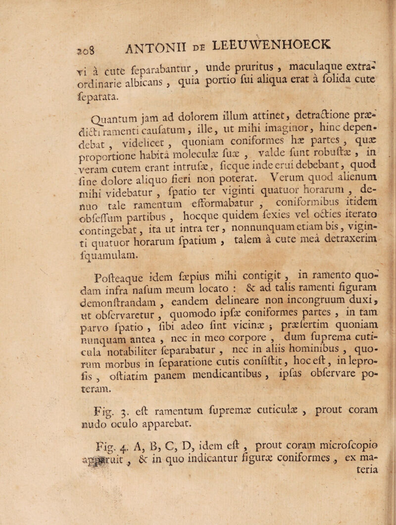ri a cute feparabantur , unde pruritus , maculaque extra* ordinarie albicans , quia portio fui aliqua erat a folida cute feparata. Quantum jam ad dolorem illum attinet, detraftione prae- dichramenticaufatum, ille, ut mihi imaginor, hincdepen- debat , videlicet , quoniam coniformes hx partes , qua: proDortione habita moleculx fux , valde funt robuftx , in veram cutem erant intruix? fIcqueinGeci.ildebebant, quod fine dolore aliquo fieri non poterat. Verum quod alienum milii videbatur , fpatio ter viginti quatuoi horuium , de* nuo tale ramentam efformabatur , coniformibus itidem obfeffum partibus , hocque quidem fexies vel octies iterato co n t i n g e'dat, ita ut intra ter, nonnunquam etiam o.s, vigin- ti quatuor horarum fpatium , taiem a cute axi detraxerim fquamulam. Pofteaque idem fxpius mihi contigit , in ramento quo¬ dam infra nafum meum locato : & ad talis ramenti figuram demon ftrandam , eandem delineare non incongruum duxi, ut obfervaretur , quomodo lpfx coniformes paites , in tam parvo fpatio , libi adeo fint vicinx } prxfertim quoniam mmquam antea , nec in meo corpore , dum fuprema cuti¬ cula notabiliter feparabatur , nec in aliis hominibus , quo¬ rum morbus in feparatione cutis conliftit, hoc eft, in lep.ro- fis, oftiatim panem mendicantibus, ipfas obfervare po¬ teram. Fig. 3. eft ramentum fupremx cuticula: , prout coram nudo oculo apparebat. Fig. 4. A, 6, C, D, idem eft , prout coram microfcopio adruit , & in quo indicantur figurae coniformes ., ex ma¬ teria