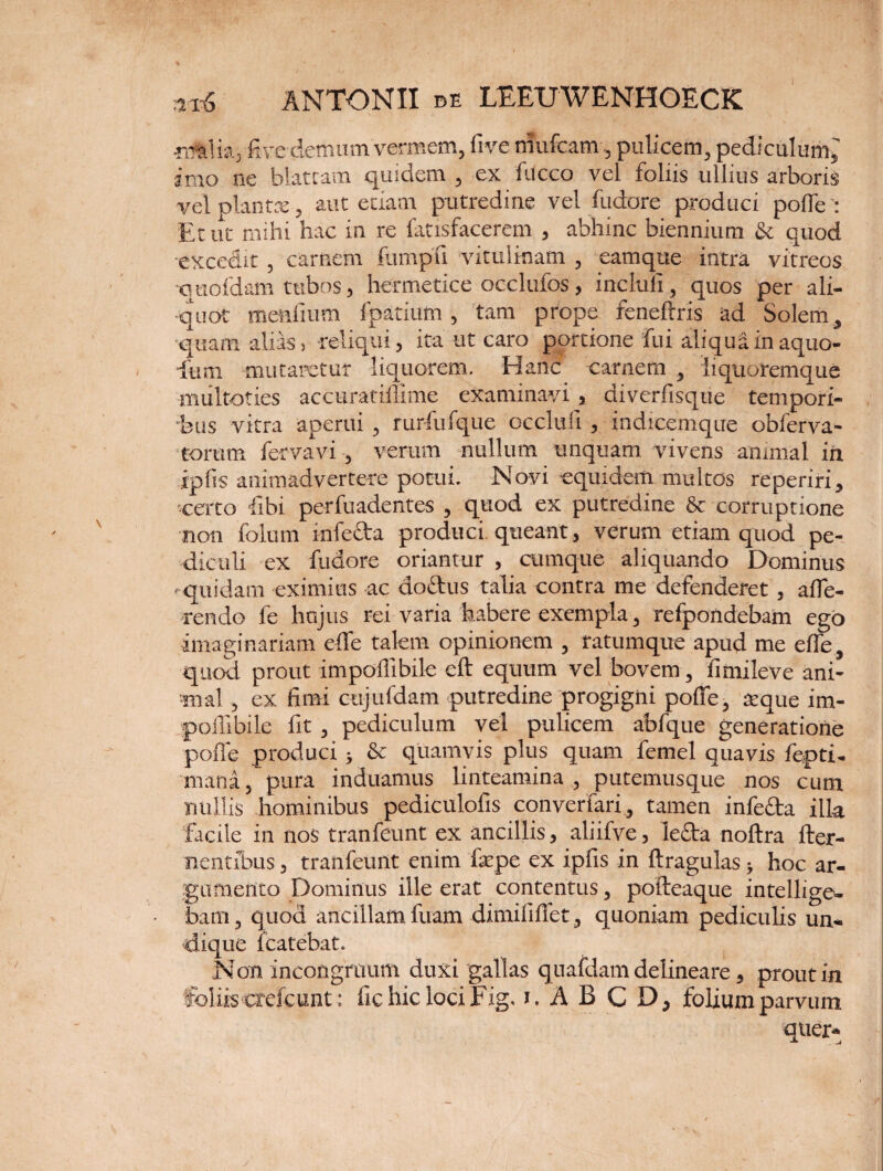 ■rufclia, ftve demum vermem, five niufcam, pulicem, pediculum, imo ne blattam quidem , ex fiicco vel foliis ullius arboris vel planta:, aut etiam putredine vel fudore produci pofle Et ut mihi hac in re fatisfacerem , abhinc biennium & quod excedit, carnem fumpfi vitulinam , eam que intra vitreos quofdam tubos, hermetice occlufos, inclufi, quos per ali¬ quot menfium fpatium , tam prope feneftris ad Solem, quam alias 5 reliqui, ita ut caro portione fui aliqui in aquo- •fum mutaretur liquorem. Hanc carnem , liquoremque multoties accuratiffime examinavi , diverfisque tempori¬ bus vitra aperui , rurfufque occlufi , indicemque obferva- 'torum fervavi , verum nullum unquam vivens animal in ipfis animadvertere potui. Novi equidem multos reperiri, certo libi perfuadentes , quod ex putredine & corruptione non folum infecta produci, queant, verum etiam quod pe¬ diculi ex fudore oriantur , cumque aliquando Dominus •quidam eximius ac doctus talia contra me defenderet, affe¬ rendo fe hujus rei varia habere exempla, refpondebam ego imaginariam elfe talem opinionem , ratumque apud me effe, quod prout impoffibile eft equum vel bovem , fimileve ani¬ mal , ex fimi cujufdam putredine progigni polfe, a’que im- jpoffibile fit , pediculum vel pulicem abfque generatione polfe produci; & quamvis plus quam femel quavis fepti- mana, pura induamus linteamina , putemusque nos cum nullis hominibus pediculofis converfari, tamen infefta ilk facile in nos tranfeunt ex ancillis, aliifve, le£ta noftra fter- nentibus, tranfeunt enim fepe ex ipfis in ftragulas; hoc ar¬ gumento Dominus ille erat contentus, pofteaque intellige- bam, quod ancillam fuam dimifilfet, quoniam pediculis un¬ dique fcatebat. Non incongrtram duxi gallas quafdam delineare, prout in foliis aefcunt: fic hic loci Fig. i.ABCD, folium parvum qtier*