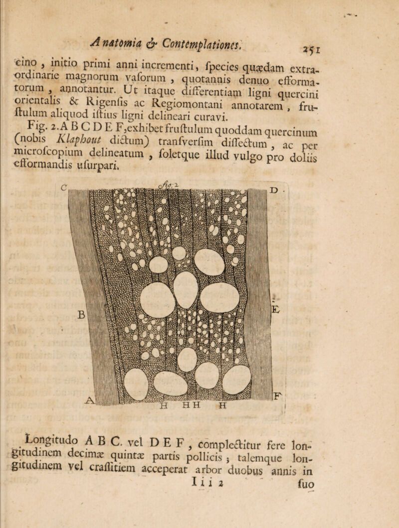 cino , initio primi anni incrementi, fpecies quaedam extra¬ ordinarie magnorum vaforum , quotannis denuo efforma- torum annotantur. Ut itaque differentiam ligni quercini ouentalis & Rigeniis ac Regiomontani annotarem , fru- itulum aliquod lltius ligni delineari curavi. Fig. 2. Ab CDE F,exhibet fruftulum quoddam quercinum (nobis klaphout didum) tranfverfim diffe&um , ac per rmcrolcopium delineatum , foletque illud vulgo pro doliis cnormandis ufurpari, ~ r A C. Vel D E F , complectitur fere lon¬ gitudinem decimae quintae partis pollicis , talemque lon¬ gitudinem vel craflitiem acceperat arbor duobus annis in