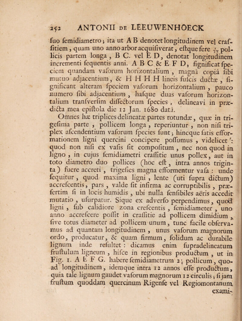 •* ifz ANTONII de LEEUWENHOECK fuo femidiamctro 5 ita ut AB denotet longitudinem vel craf- litiem , quam uno anno arbor acquifiverat 3 eftquefere J- pol¬ licis partem longa 5 B C. vel E D, denotat longitudinem incrementi fequentis anni. A B C & E F D, fignificatfpe- cieni quandam vaforum horizontalium , magna copia libi mutuo adjacentium, & HHHH lineis fulcis ductre , fi- gnificant alteram fpeciem vaforum horizontalium , pauco «umero fibi adjacentium , hafque duas vaforum horizon¬ talium tranfverfim dilfectorum fpecies , delineavi in prte- difta mea epiftola die 12 Jan. 1680 data. Omnes ha: triplices delineato: partes rotunda:, qua: in tri- gefima parte , pollicem longa , reperiuntur 5 non nifi tri¬ plex afcendentium vaforum fpecies liant; hincquefatis eftor- mationem ligni quercini concipere poffumus , videlicetr: quod non nifi ex vafis fit compofitum , nec non quod irt ligno , in cujus femidiametri craflitie unus pollex, aut in toto diametro duo pollices (hoc eft , intra annos trigin¬ ta ) fuere accreti , trigefies magna elformentur vafa : unde fequitur , quod maxima ligni , lente (uti fupra dictum) accrefcentis, pars , valde fit infirma ac corruptibilis , pra:- fertim fi in locis humidis , ubi nulla fenfibiles aeris accedit mutatio , ufurpatur. Sique ex adverfo perpendimus, quod ligni , fub calidiore zona crefcentis , femidiameter , uno anno accrefcere poifit in craffitie ad pollicem dimidium , five totus diameter ad pollicem unum, tunc facile obferva- mus ad quantam longitudinem , unus vaforum magnorum ordo, producatur, & quam firmum, folidum ac durabile lignum inde refultet : dicamus enim fupradelineatum fruftulum ligneum , hifce in regionibus productum , ut in Fig. 1. A E F G. habere femidiametrum 2 i pollicum , quo¬ ad longitudinem, idemque intra 12 annos efie produftum, quia tale lignum gaudet vaforum magnorum 12 circulis; fi jam fruftum quoddam quercinum Rigenfe vel Regiomontanum. exami'