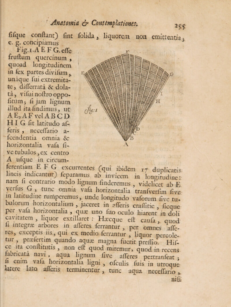 fifque confiant) fint folida, liquorem non emittentia • e. g. concipiamus * Fig.i.A E F G.efle fruftum quercinum , quoad longitudinem in fex partes divifum y unique fui extremita¬ te j differrata & dola¬ ta , vifui noftro oppo- fitum 5 ii jam lignum illud ita findimus, ut A E, A F vel A B C D HI G fit latitudo af- feris , neceffario a- ~ fcendentia omnia & horizontalia vafa fi-. A vetubulos,ex centro A itfque in circum¬ ferentiam E F G excurrentes (qui ibidem 17 duplicatis; lineis indicantur) feparamus ab invicem in longitudine:: nam fi contrario modo lignum finderemus , videlicet ab E verius G , tunc omnia vafa horizontalia tranfverfim live in latitudine rumperemus, unde longitudo vaforum five tu¬ bulorum horizontalium, jaceret in afferis craflitie , ficque per vafa horizontalia , qua: uno fuo oculo hiarent in doli cavitatem , liquor extillaret : Hxcque eft caufa, quod li integrx arbores in alTercs. ferrantur , per omnes affe¬ res, exceptis ns , qui ex medio ferrantur , liquor percole¬ tur , prxfertim quando aqux magna fuerit preffio. Hif- ce ita conftitutis, non eft quod miremur, quod in recens fabricata navi , aqua lignum five afferes pertranfeat ; 11 enim vafa horizontalia ligni , ofculis fuis in utroque «tere lato afferis terminentur, tunc aqua neceffario , ni fi