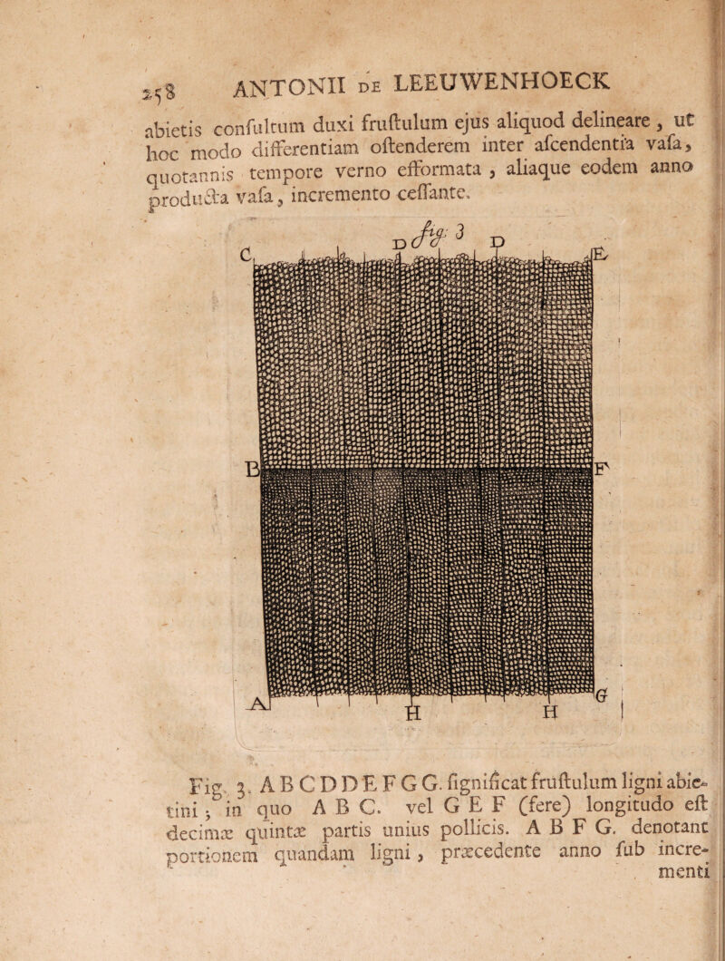 abietis confultum duxi fruftulum ejus aliquod delineare , ut 'hoc modo differentiam oftenderem inter afcendentia vafa, quotannis tempore verno efformata , aliaque eodem anno produfta vafa^ incremento ceftante. Fl! ^ ABCDDEFGG. fignificat fruftulum ligni afaie- tini 5 in quo ABC. vel G E F (fere) longitudo eft decimse quinta partis unius pollicis. A B F G. denotant portionem quandani ligni ^ praecedente anno ftib i nere- * * menti
