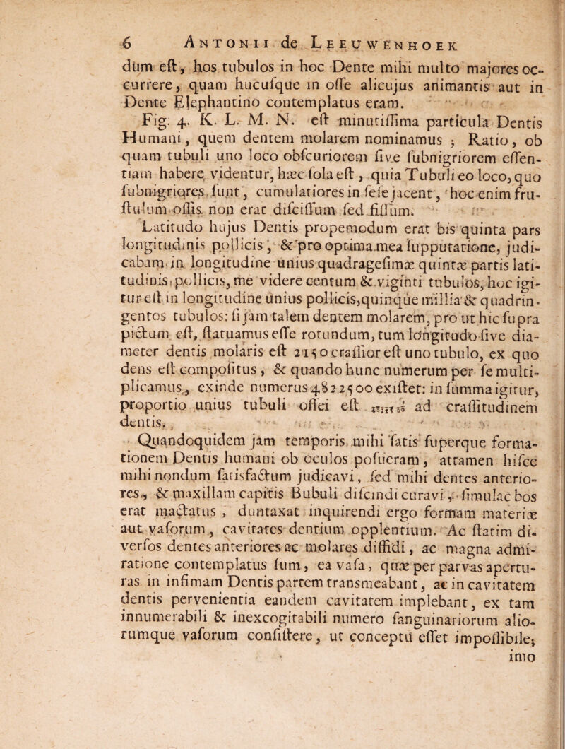 dum eft, hos tubulos in hoc Dente mihi multo majores oc¬ currere, quam huCufque in ofte alicujus animantis aut in Dente Elephantino contemplatus eram. Fig: 4. K. L. M. N. eft tninutiftima particula Dentis H umant, quem dentem molarem nominamus j Ratio, ob quam tubuli uno loco obfcuriorem fiv.e fubnigriorem efTen- tiam habere, videntur, hxcfola eft, quia Tubuli eo loco, quo fubnigriqres funt, cumulatiores in Teie jacent, hocenimfru- ftukim offis non erat difciffum-fed.fiJJum; Latitudo hujus Dentis propemodum erat bis quinta pars longitudinis pollicis , &'prooptima.mea iupputatione, judi¬ cabam in longitudine unius quadragefimx quintre partis lati¬ tudinis i pollicis, me videre centum &.viginti tubulos, hoc igi- tur eitin longitudine unius pcffiicis,quinque millia & quadrin¬ gentos tubulos: fi jam talem dentem molarem, pro ut hic fupra pictum eft, ftatuamus e(Te rotundum, tum longitudo five dia¬ meter dentis molaris eft 21 socraflior eft uno tubulo, ex quo dens eft compolitus , & quando hunc numerum per fe multi¬ plicamus., exinde numerus4,822500exiftet: in fummaigitur, proportio unius tubuli offei eft ad craffittidinem delitis. ' - • . f .. - . ■ ,*■«• • Quandoquidem jam temporis mihi fatis fuperque forma¬ tionem Dentis humani ob oculos pofueram , attamen hifce mihi nondum fatisfaftum judicavi, fed mihi dentes anterio¬ res,, & maxillam capitis Bubuli difcindi curavi, fimulac bos erat mactatus , duntaxat inquirendi ergo formam materix • aut vaforum , cavitates dentium opplenrium. Ac ftatim di- verfos dentes anteriores ac molares diffidi, ac magna admi¬ ratione contemplatus funi, eavafa, qux per parvas apertu¬ ras in infimam Dentis partem transmeabant, ac in cavitatem dentis pervenientia eandem cavitatem implebant, ex tam innumerabili 8t inexcogitabili numero fanguinariorum alio¬ rumque vaforum confiftere, ut conceptu effiet impoffibile5 imo