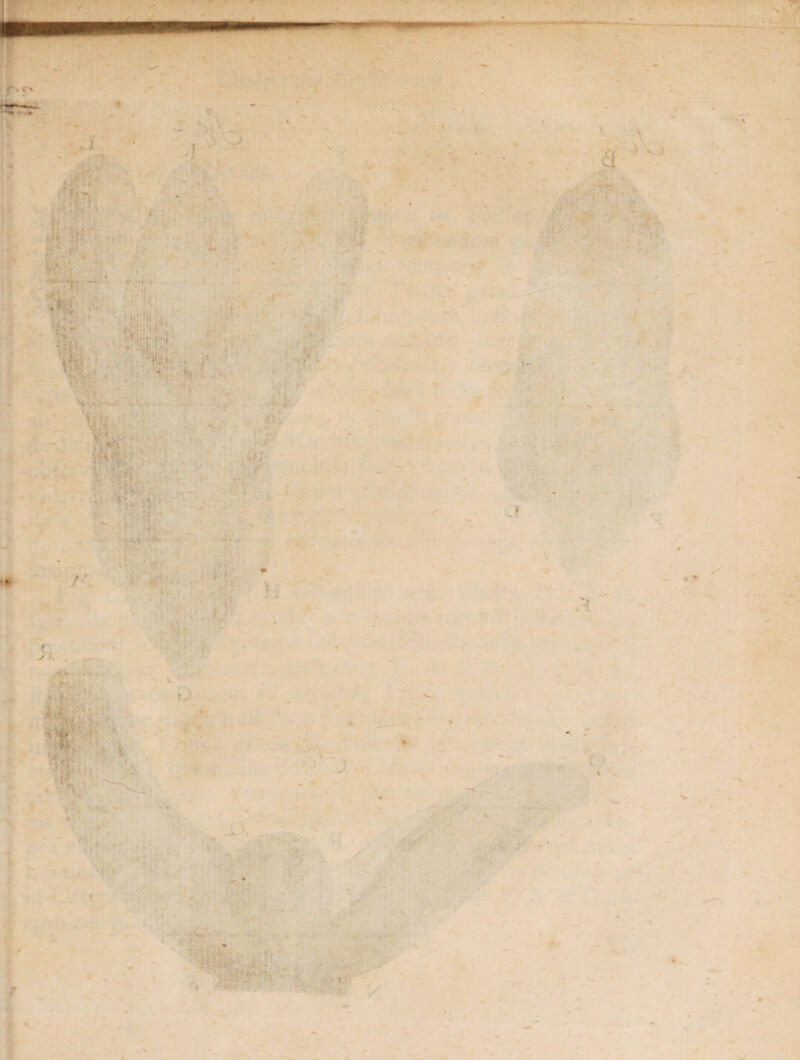 * * < ■ > ’• I : ' :. a A r« ..i ‘i, ... . i 1.. >■ ■ff; v'r:' ,v, y \y.\ ■' w . • v' \ \V*V \ * ■..•/ . v v. . < ' -•V- I-' y - Hi; ’ . ’ : \'vv t \ ‘ v-H • • • ■■; . » • ' ' U • * / i • <• ^ •• i&F- \f* t ' ‘Nk_ O j . V*.\ : • X \ - * * - ■' « ■'■.SV-y-h *t : .... : * • t :