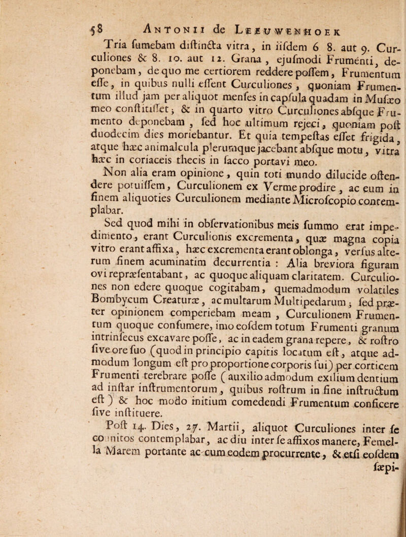 Tria (umebam diftin&a vitra, in iifdem 6 8. aut 9. Cur¬ culiones & 8. 10. aut 12. Grana, ejufmodi Frumenti, de¬ ponebam , de quo me certiorem reddere poflem, Frumentum efle, in quibus nulli effient Curculiones , quoniam Frumen¬ tum illud jam per aliquot menfes in capfula quadam in Mulio meo conftitiffet} & in quarto vitro Curculiones abfque Fru¬ mento deponebam , fed hoc ultimum rejeci, quoniam poft duodecim dies moriebantur. Et quia tempeftas effiet frigida atque hscanimalcula plerumque jacebant abfque motu, vitra faarc in coriaceis thecis in facco portavi meo. Non alia eram opinione, quin toti mundo dilucide often- dere poruiffiem, Curculionem ex Verme prodire , ac eum in finem aliquoties Curculionem mediante Microfcopio contem¬ plabar. Sed quod mihi in obfervationibus meis fummo erat impe¬ dimento, erant Curculionis excrementa, qute magna copia vitro erant affixa, hatc excrementa erant oblonga, verfusalte- rum finem acuminatim decurrentia : Alia breviora figuram ovirepraffientabant, ac quoque aliquam claritatem. Curculio¬ nes non edere quoque cogitabam, quemadmodum volatiles Bombycum Creatune, acmultarum hdultipedarum ; (ed prae¬ ter opinionem comperiebam meam , Curculionem Frumen¬ tum quoque confumere, imo eofdem totum Frumenti granum intrinfecus excavare poffe, ac in eadem grana repere, & roftro five orefuo (quod in principio capitis locatum eft, atque ad¬ modum longum eft pro proportione corporis fui) per corticem Frumenti terebrare poffie (auxilio admodum exilium dentium ad inftar inftrumentorum, quibus roftrum in fine indrudum eft ) & hoc modo initium comedendi Frumentum conficere live inftituere. Poft 14. Dies, 27. Martii, aliquot Curculiones inter (e co mitos contemplabar, acdiu inter feaffixos manere, Femel¬ la Marem portante ac cum eodem procurrente, & etfi eofdem