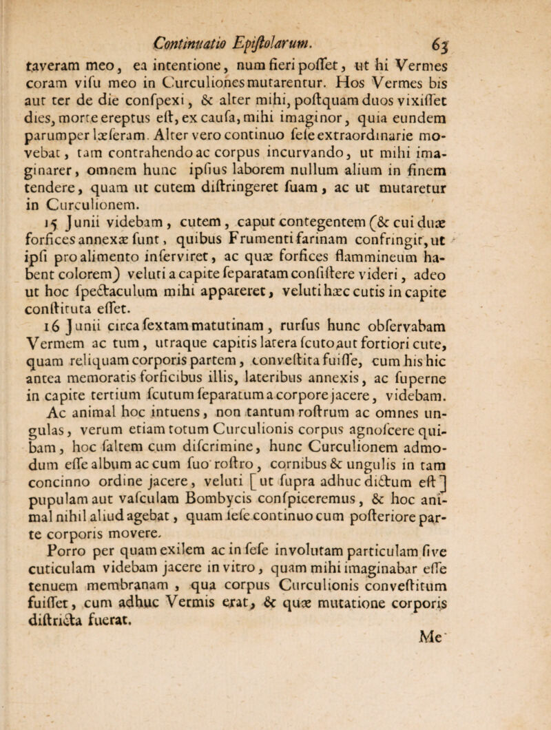 t.averam meo, ea incentione, numfieripoflet, ut hi Vermes coram vifu meo in Curculiones mutarentur. Hos Vermes bis aut ter de die confpexi, & alter mihi, podquam duos vixiflet dies, morte ereptus ed,excaufa,mihi imaginor, quia eundem parumper Ixferum. Alter vero continuo fele extraordinarie mo¬ vebat, tam contrahendo ac corpus incurvando, ut mihi ima¬ ginarer, omnem hunc ipfius laborem nullum alium in finem tendere, quam ut cutem didringeret fuam, ac ut mutaretur in Curculionem. 15 Junii videbam, cutem, caput contegentem (& cui dux forfices annexae funt, quibus Frumenti farinam confringit, ut ipfi pro alimento inferviret, ac qux forfices flammineum ha¬ bent colerem} veluti a capite feparatam confidere videri, adeo ut hoc fpedtaculum mihi appareret, veluti hxc cutis in capite condituta edet. 16 J unii circa fextam matutinam , rurfus hunc obfervabam Vermem ac tum, utraque capitis lacera fcutoaut fortiori cute, quam reliquam corporis partem, conveditafuifle, cum his hic antea memoratis forficibus illis, lateribus annexis, ac fuperne in capite tertium fcutum (eparatum a corpore jacere, videbam. Ac animal hoc intuens, non tantum roftrum ac omnes un¬ gulas, verum etiam totum Curculionis corpus agnofcere qui¬ bam, hoc faltem cum diferimine, hunc Curculionem admo¬ dum efle album ac cum fuo rodro, cornibus & ungulis in tam concinno ordine jacere, veluti [ut fupra adhuc didtum ed J pupulam aut vafculam Bombycis confpiceremus , & hoc ani¬ mal nihil aliud agebat, quam iefe continuo cum pofteriore par¬ te corporis movere. Porro per quam exilem ac in fefe involutam particulam five cuticulam videbam jacere in vitro, quam mihi imaginabar effe tenuem membranam , qua corpus Curculionis conveditum fuiflet, cum adhuc Vermis erat, & qux mutatione corporis diftri&a fuerat. Me*