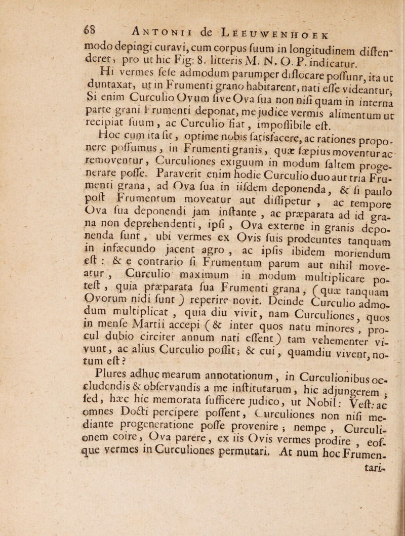 modo depingi curavi, cum corpus fuum in longitudinem diften- deret, pro ut hic Fig: 8. litteris M. N. O. P. indicatur. Hi vermes fefe admodum parumper diflocarepoffiunr ita ut duntaxat, ut in Frumenti grano habitarent, nati efle videantur- Si enim Curculio Ovum (iveOvafiia non nifi quam in interna parte grani Frumenti deponat, me judice vermis alimentum uc recipiat fuum, ac Curculio fiat, impoflibiie eft. Hoc cum ita fit, optime nobis fatisfacere, ac rationes propo¬ nere poflumus, in Frumenti granis, quat farpius moventur ae removentur, Curculiones exiguum in modum faltem proge¬ nerare polle. Paraverit enim hodie Curculio duo aut tria Fru¬ menti grana, ad Ova fua in iifdem deponenda, & fi paulo poft Frumentum moveatur aut dillipetur , ac tenipore Ova fua deponendi jam inflante , ac prteparata ad id gra na non deprehendenti, ipfi , Ova externe in granis depo nenda funt, ubi vermes ex Ovis futs prodeuntes tanquam in mfiecundo jacent agro , ac ipfis ibidem moriendum eft : & e contrario fi Frumentum parum aut nihil move¬ atur , Curculio' maximum in modum multiplicare po teft, quia prarparata fua Frumenti grana, (qux tanquam Ovorum nidi fiint ) repenre novit. Deinde Curculio admo¬ dum multiplicat , quia diu vivit, nam Curculiones quos in menfe Martu accepi (& inter quos natu minores , bro- cul dubio circiter annum nati effient) tam vehemenrer vi¬ vunt, ac alius Curculio poflitj & cui, quamdiu vivent no- tum eft? 3 Plures adhuc mearum annotationum, in Curculionibus oc¬ cludendis & obfervandis a me inftitutarum , hic adjungerem • fied, hate hic memorata fufficere judico, ut Nobil: Vefi-ae omnes Do&i percipere poffient. Curculiones non nifi me¬ diante progeneratione poffie provenire ; nempe , Curculi¬ onem coire, Ova parere, ex iis Ovis vermes prodire eof- que vermes in Curculiones permutari. At num hoc Frumen-