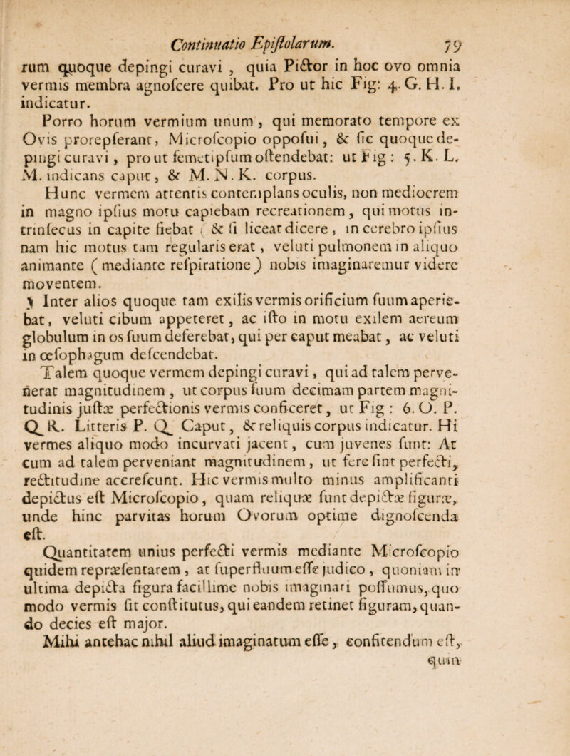 rum quoque depingi curavi , quia Piftor in hoc ovo omnia vermis membra agnofcere quibat. Pro ut hic Fig: 4. G. H. I. indicatur. Porro horum vermium unum , qui memorato tempore ex Ovis prorepferanr, Microfcopio oppofui, fk fic quoquede- pingi curavi, pro ut femetipfum oftendebat: utbig; 5.K.L, M. indicans caput, M.N.K. corpus. Hunc vermem attentis contemplans oculis, non mediocrem in magno ipfius motu capiebam recreationem, qui motus m- trinfecus in capite fiebat ( &c fi liceat dicere , m cerebro ipfius nam hic motus tam regularis erat, veluti pulmonem in aliquo animante (mediante relpiratione} nobis imaginaremur videre moventem. > Inter alios quoque tam exilis vermis orificium fuum aperie¬ bat, veluti cibum appeteret, ac ifto in motu exilem aereum globulum in os fuum deferebat, qui per caput meabat, ac veluti incefophagum defeendebat. Talem quoque vermem depingi curavi, qui ad talem perve¬ nerat magnitudmem , ut corpus tuum decimam partem magni¬ tudinis juftx perfectionis vermis conficeret, urFig: 6. O. P. Litteris P. Caput, &c reliquis corpus indicatur. Hi vermes aliquo modo incurvati jacent, cum juvenes funt: At cum ad talem perveniant magnitudinem, ut fere fint perfecti, reCtitudine accrefcunt. Hic vermis multo minus amplificanti depictus eft Microfcopio, quam reliquae funt depiftx figurae* unde hinc parvitas horum Ovorum optime dignofeenda eft. Quantitatem unius perfeCti vermis mediante M crofcopio quidem reprxfentarem , at fuperfluurnefle judico , quoniam irr ultima depiCta figura facillime nobis imaginari pofTumus, quo modo vermis fit conftitutus, qui eandem retinet figuram, quan¬ do decies eft major. Mihi antehac nihil aliud imaginatum efle, confitendum eft,