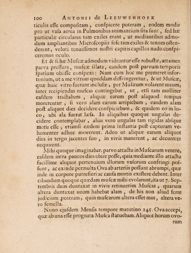 • _ • ' I ticulis efle compofitam , confpicere poteram , eodem modo pro ut vafa aerea in Pulmonibus animantium fita fune, fedhae particula: circulares tam exiles erant , ut mediantibus admo¬ dum ampliantibus Microfcopiis fefe tam exiles & tenues often- derent, veluti tenuillimos noftri capitis capillos nudo confpi- ccremus oculo. Et & fi has Mufeas admodum videantur effe robuftas, attamen parva preffura, mufeas illata, eandem poft parvum temporis ipatium obiiffe confpexi: Nam cum hoc me premeret infor¬ tunium, ut a me vitrum quoddam diffringeretur, & ut Mufeas, quas huic vitro fuerant inclufas , per Mufasum volarent meum, inter recipiendas mufeas contingebat , ut , et fi tam molliter eafdem tra&abam , aliquas earum poft aliquod tempus morerentur , fi vero alam earum arripiebam , eandem alam poft aliquot dies decidere confpiciebam, & quidem eo in lo¬ co, ubi ala fuerat lrefa. In aliquibus quoque ungulas de¬ cidere contemplabar , alias vero ungulas tam rigidas abfque motu effe 5 etiam fi easdem prima inflantia poft capturam ve¬ hementer adhuc moverent. Adeo ut aliquas earum aliquot dies in tergo jacentes fuo , in vivis manerent , ac decurrere nequirent. Mihi quoque imaginabar, parvo attaftu inMufcarum ventre, eafdem intra paucos dies obire poffe, quia mediante illo attaftu facillime aliquot pertenuium illorum vaforum confringi pof- funt, ac exinde permulta Ova ab arteriis poffunt abrumpi, qux inde in corpore putrefieri ac caufa mortis exiftere debent. Inter cibandum quoque quasdam mufeas rnihi evolarunt,ita ut 7. Sep¬ tembris duas duntaxat in vivis retinuerim Mufeas , quarum alrera duntaxat unam habebat alam , de his non aliud ferre judicium poteram, quin mufearum altera effet mas, altera ve¬ ro femella. Nono ejufdem Menfis tempore matutino 145. Ova accepi, quas ab una effe prognata Mufca ftatuebam. Aliquot horum ovo¬ rum