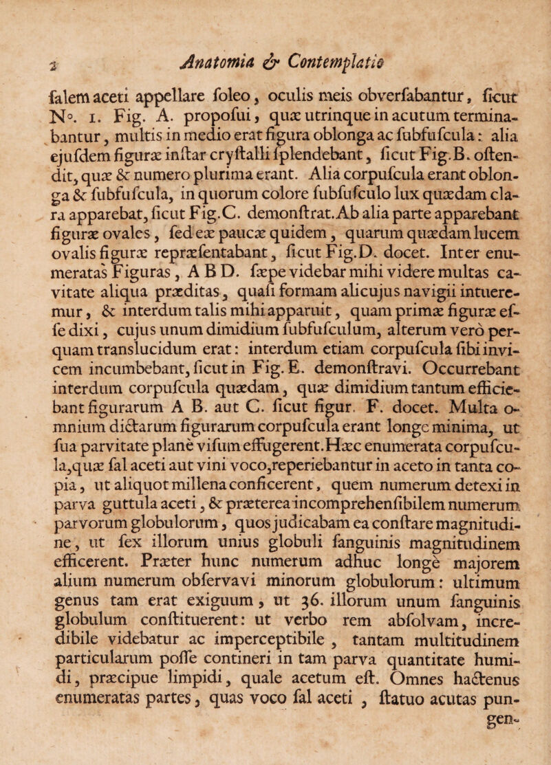 falem aceti appellare foleo , oculis meis obverfabantur, ficut N°. x. Fig. A. propofui, quos utriaque in acutum termina¬ bantur 5 multis in medio erat figura oblonga ac fubfufcula: alia ejufdem figurae inftar cryftalli iplendebant, ficut Fig.B. often- dit^ quae & numero plurima erant. Alia corpufcula erant oblon¬ ga & fubfufcula, in quorum colore fubfufculo lux quaedam cla- ra apparebat, ficut Fig.C. demonftrat. Ab alia parte apparebant figurae ovales, fed ex paucae quidem, quarum quaedam lucem ovalis figurae repraefentabant, ficut Fig.D. docet. Inter enu¬ meratas Figuras, ABD. faepe videbar mihi videre multas ca¬ vitate aliqua praeditas, quali formam alicujus navigii intuere¬ mur , & interdum talis mihi apparuit, quam primae figurae ef- fedixi, cujus unum dimidium fubfufculum, alterum vero per¬ quam translucidum erat: interdum etiam corpufculafibiinvi¬ cem incumbebant, ficut in Fig. E. demonftravi. Occurrebant interdum corpufcula quaedam, quae dimidium tantum efficie¬ bant figurarum A B. aut C. ficut figur. F. docet. Multa o- mnium diftarum figurarum corpufcula erant longe minima, ut fua parvitate plane vifumeffugerent.Htec enumerata corpufcu- la,quae fal aceti aut vini voco,reperiebantur in aceto in tanta co¬ pia , ut aliquot millena conficerent, quem numerum detexi in parva guttula aceti, &: prseterea incomprehenfibilem numerum parvorum globulorum, quos judicabam ea conftare magnitudi¬ ne, ut fex illorum unius globuli fanguinis magnitudinem efficerent. Praeter hunc numerum adhuc longe majorem alium numerum obfervavi minorum globulorum: ultimum genus tam erat exiguum, ut 36. illorum unum fanguinis globulum conftituerent: ut verbo rem abfolvam, incre¬ dibile videbatur ac imperceptibile , tantam multitudinem particularum pofle contineri in tam parva quantitate humi- di, praecipue limpidi, quale acetum eft. Omnes haftenus enumeratas partes 5 quas voco fal aceti 5 ftatuo acutas pun¬ go*-.