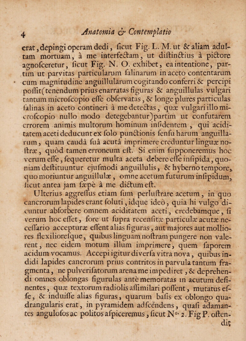erat, depingi operam dedi, ficut Fig. L. M.ut & aliam adul¬ tam mortuam, a me interfe&am, ut diftin&ius a piftore agnofceretur, ficut Fig. N. O. exhibet, ea intentione, par- tim ut parvitas particularum falinarum in aceto contentarum cum magnitudine anguillularum cogitando conferri & percipi poflit(tenendum prius enarratas figuras & anguillulas vulgari tantum microfcopio efle obfervatas, & longe plures particulas falinas in aceto contineri a medete£tas, qua? vulgari illo mi¬ crofcopio nullo modo detegebantur) partim ut confutarem errorem animis multorum hominum infidentem , qui acidi- tatem aceti deducunt ex folo punftionis fenfu harum anguilla¬ rum, quam cauda fua acuta imprimere creduntur lingure no- itree, quod tamen erroneum eft. Si enim fupponeremus hoc verum efle, fequeretur multa aceta debere efle infipida3 quo¬ niam deftituuntur ejufmodi anguillulis, & hyberno tempore,, quo moriuntur anguillula?, omne acetum futurum infipidum, ficut antea jam fxpe a me di£tum eft. Ulterius aggreflus etiam fum perluftrare acetum, in quo cancrorum lapides erant foluti, idque ideo, quia hi vulgo di¬ cuntur abforbere omnem aciditatem aceti, credebamque, fi verum hoc eflet, fore ut fupra recenfita? particula? acuta? ne- ceflario acceptura? eflent alias figuras, aut majores aut mollio¬ res flexiliorefque, quibus linguam noftram pungere non vale¬ rent, nec eidem motum illum imprimere, quem faporem acidum vocamus. Accepi igitur diverfa vitra nova, quibus in¬ didi lapides cancrorum prius contritos in parvula tantum fra¬ gmenta , ne pulverifatorum arena me impediret, Sc deprehen¬ di omnes oblongas figurulas ante memoratas in acutum deli¬ nentes, qua? textorum radiolis aflimilari poflent, mutatus ef- fe, & induiffe alias figuras , quarum bafis ex oblongo qua¬ drangularis erat, in pyramidem adfcendens, quafi adaman¬ tes angulofos ac politos afpiceremus, ficut N°* 2. Fig P. often-  * ' 'Y dis