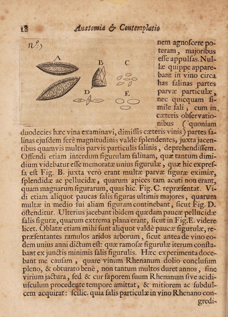 nem agnofeere po teram , majoribus efie appulfas.Nul- lae quippe appare¬ bant in vino circa has falinas partes parvas particula 5 nec quicquam fi- mile iali h cum in casteris obfervatio- nibus C quoniam duodecies hasc vina examinavi, dimiftis ceteris vinis) partes fa¬ linas ejufdem fere magnitudinis valde fplendentes3 juxta jacen¬ tibus quamvis multis parvis particulis falinis , deprehendiflem. Offendi etiam interdum figurulam falinam, quas tantum dimi¬ dium videbatur effe memoratas unius figurulae, quas hic expref- fa eft Fig. B. juxta vero erant multas parvae figuras eximiaes fplendidas ac pellucidae, quarum apices tam acuti non erant, quam magnarum figurarum, quas hic. Fig. C. reprasfentat. Vi¬ di etiam aliquot paucas falis figuras ultimis majores, quarum multae in medio fui aliam figuram continebant, ficut Fig. D. oftenditur. Ulterius jacebant ibidem quaedam paucae pellucidae falis figuras, quarum extrema plana erant, ficut in Fig.E. videre licet. Oblatas etiam mihi funt aliquot valde paucae figurulae, re- praefentantes ramulos aridos arborum, ficut antea de vino eo¬ dem unius anni di£tum eft: quas ramofae figurulae iterum confla¬ bant ex junftis minimis falis figurulis. Haec experimenta doce¬ bant me caufam , quare vinum Rhenanum dolio conclufum pleno, & obturato bene, non tantum multos duret annos, fine virium jaftura, fed &: cur faporem fuum Rhenanum five acidi- ufculum procedente tempore amittat 5 &: mitiorem ac fubdul- cem acquirat: fcilic. quia falis particulas in vino Rhenano con¬ gredi- n/.->