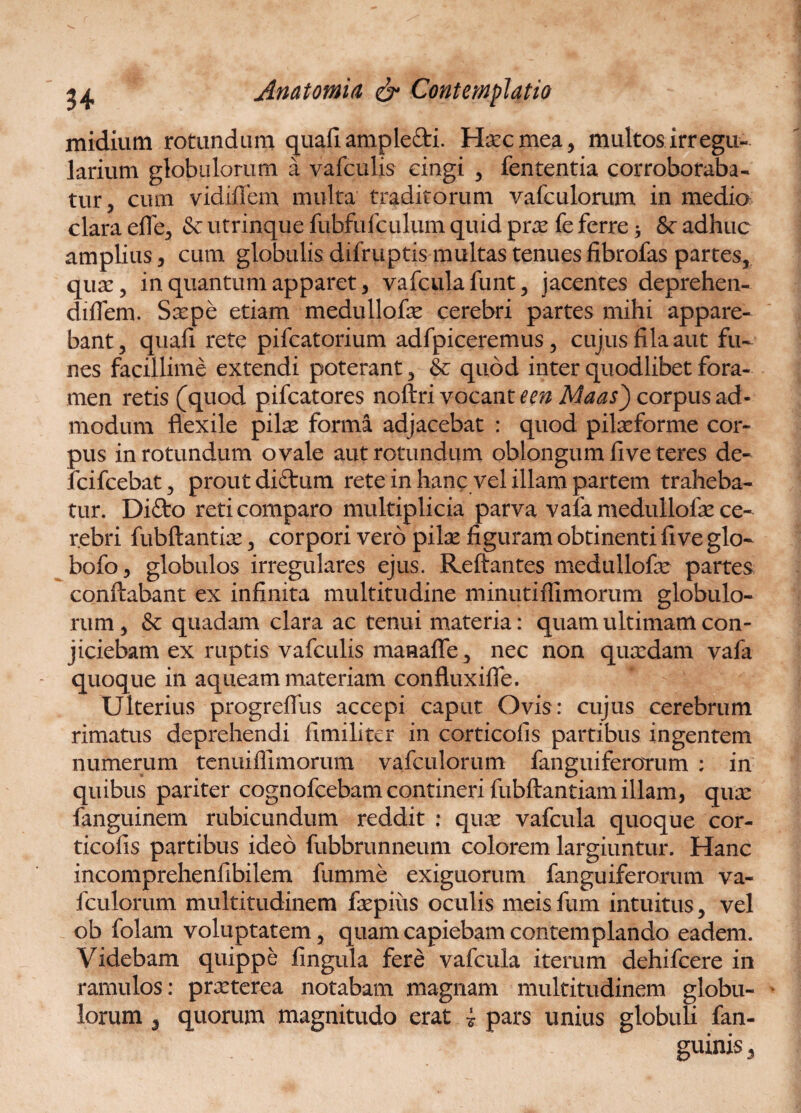 midium rotundum quafi ample&i. Hrecmea, multos irregu¬ larium globulorum a vafculis cingi , fententia corroboraba¬ tur, cum vidiflem multa traditorum vafculorum in medio clara effe, & utrinque fubfufculum quid pra? fe ferre 5 & adhuc amplius, cum globulis difruptis multas tenuesfibrofas partes, qua:, in quantum apparet, vafculafunt, jacentes deprehen- diffem. Ssepe etiam medullofle cerebri partes mihi appare¬ bant, quafi rete pifcatorium adfpiceremus, cujus fila aut fu¬ nes facillime extendi poterant, & quod inter quodlibet fora¬ men retis (quod pifcatores noftri vocant een Maas) corpus ad¬ modum flexile pike forma adjacebat : quod pilseforme coi¬ pus in rotundum ovale aut rotundum oblongum five teres de- fcifcebat, prout didtum rete in hanc vel illam partem traheba¬ tur. Difto reti comparo multiplicia parva vafamedullofe ce¬ rebri fubftantice, corpori vero pila: figuram obtinenti five glo- bofo, globulos irregulares ejus. Reflantes medullofe partes conflabant ex infinita multitudine minutiffimorum globulo¬ rum , & quadam clara ac tenui materia: quam ultimam con¬ jiciebam ex ruptis vafculis manafle, nec non quardam vafa quoque in aqueam materiam confluxiffe. Ulterius progreffus accepi caput Ovis: cujus cerebrum rimatus deprehendi fimiliter in corticofis partibus ingentem numerum tenuiffimorum vafculorum fanguiferorum : in quibus pariter cognofcebam contineri fubftantiam illam, qua: fanguinem rubicundum reddit : quas vafcula quoque cor¬ ticofis partibus ideo fubbrunneum colorem largiuntur. Hanc incomprehenfibilem fumme exiguorum fanguiferorum va¬ fculorum multitudinem ftepius oculis meis fum intuitus, vel ob folam voluptatem, quam capiebam contemplando eadem. Videbam quippe lingula fere vafcula iterum dehifcere in ramulos: praeterea notabam magnam multitudinem globu¬ lorum 3 quorum magnitudo erat i pars unius globuli fan- guinis 3