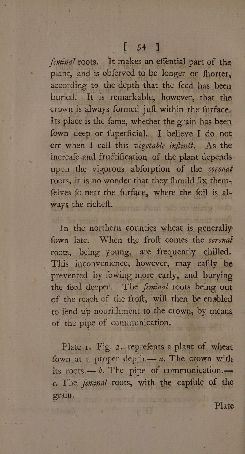 f g4 4 feminal roots. It makes an effential part of the — piant, and is obferved to. be longer or fhorter, according to the depth that the feed has been buried. It is remarkable, however, that the crown is always formed jutt within the furface. Its place is the fame, whether the grain has been fown deep or fuperficial. I believe I do not err when I call this vegetable infin. As the increafe.and fructification of thé plant depends. upen the vigorous abforption of the coronal roots, it is no wonder that they fhould fix, them- felves fo near the furface, where the foil i is. ale ways the richett. , In the northern counties wheat is generally: fown late. When the froft comes the coronal roots, being young, are frequently chilled. This inconvenience, however, may eafily be prevented by fowing more early, and burying the feed deeper. The /eminal roots being out of the reach of the froft, will then be enabled to fend up nourifhment to the crown, by means of the pipe of communication. a Plate 1. Fi ig. 2... reprefents a laa of wheat fown.at a proper depth.— a. The crown with its roots.— 4. The pipe of communication.— ¢. The Seminal roots, with, the capfule of the rain. | Plate