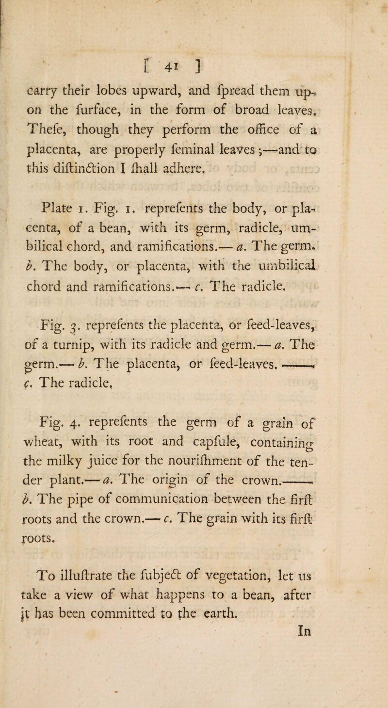 carry their lobes upward, and fpread them iip-« on the furface, in the form of broad leaves, Thefe, though they perform the oflice of a placenta, are properly feminal leaves j—and' to this diftindtion I fhall adhere, Plate I. Fig. i. reprefents the body, or pla¬ centa, of a bean, with its germ, radicle, um¬ bilical chord, and ramifications.— a. The germ. h. The body, or placenta, with the umbilical chord and ramifications.— r. The radicle. Fig. 3. reprefents the placenta, or feed-leaves, of a turnip, with its radicle and germ.— a. The germ.— h. The placenta, or feed-leaves,-- c. The radicle, Fig. 4. reprefents the germ of a grain of wheat, with its root and capfule, containing the milky juice for the nourifhment of the ten¬ der plant.— a. The origin of the crown.-- h. The pipe of communication between the firfl roots and the crown.— c. The grain with its firfl roots. To illuftrate the fubje(5l of vegetation, let ns take a view of what happens to a bean, after jt has been committed to the earth. In