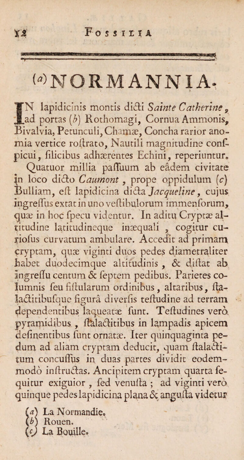 WNORM ANNIA- IN lapidicinis montis didli Sainte Cathertne ^ ad portas [b) Rothomagi, Cornua Ammonis, Bivalvia, Petunculi^Chamae, Concha rarior ano- mia vertice roilrato, Nautili magnitudine conf^ picui, filicibus adhaerentes Echini, reperiuntur» Quatuor millia pafTuum ab eadem civitate in loco dido Caumont , prope oppidulum (c) iulliam, efl lapidicina ^\^2i Jacqueline, cujus ingrelTus extat in uno veflibulorum immenforum, quae in hoc fpecu videntur. In aditu Cryptae al¬ titudine latitudineque inaequali , cogitur cu- riofus curvatum ambulare. Accedit ad primani cryptam, quae viginci duos pedes djametraliter babet duodecimque altitudinis , & didat ab ingredu centum & feptem pedibus. Parietes co¬ lumnis feu fidularum ordinibus, altaribus, fta- laditibufauc fio;ura diverfis tedudine ad terram dependentibus laqueatae funt. Tedudines vero pyrarnidibus , dUladitibus in lampadis apicem delinentibus funt ornatae. Iter quinquaginta pe¬ dum ad aliam cryptam deducit, quam dalacdi- tum conculTus in duas partes dividit eodem- modo indrudtas. Ancipitem cryptam quarta fe- quitur exiguior , fed venuda ; ad viginti vero quinque pedes lapidicina plana (3c anguda videtuF M La Normandieo {b) Rouen. (cj La Bouille.