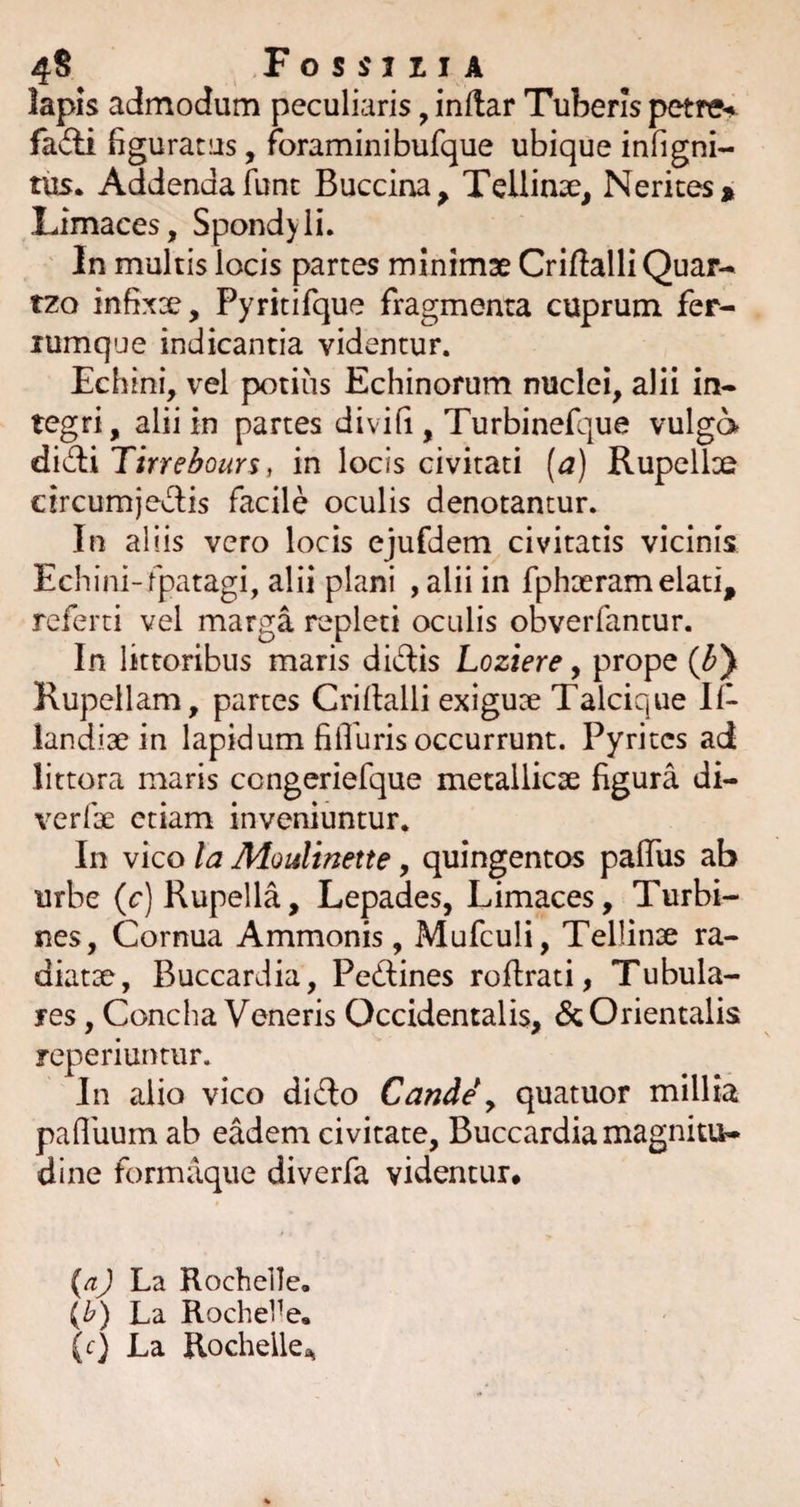 lapis admodum peculiaris, inflar Tuberis petre^ fadi figuratus, foraminibufque ubique infigni- tiis. Addenda fune Buccina, Tellinse, Nerites* Limaces, Spondyli. In multis locis partes minimae Criftalli Quar-^ tzo infixae, Pyritifque fragmenta cuprum fer- lumque indicantia videntur. Echini, vel potius Echinorum nuclei, alii in¬ tegri, alii in partes divifi , Turbinefque vulga didi Tirrehours, in locis civitati {a) Rupellae circumjedis facile oculis denotantur. In aliis vero locis ejufdem civitatis vicinis Echini-fpatagi, alii plani ,alii in fphaeramelati, referti vel marga repleti oculis obverfantur. In littoribus maris didis Loziere, prope {by Rupellam, partes Criftalli exiguae Talcique 11- iandiae in lapidum fillhris occurrunt. Pyrites ad littora maris congeriefque metallicse figura di- verfae etiam inveniuntur. In vico la Moultnette, quingentos paftiis ab urbe (c)Rupella, Lepades, Limaces, Turbi¬ nes, Cornua Ammonis, Mufculi, Tellinse ra¬ diatae, Buccardia, Pedines roftrati, Tubula¬ res , Concha Veneris Occidentalis, & Orientalis reperiunriir. In alio vico dido Cande\ quatuor millia pafluum ab eadem civitate, Buccardia magnitu¬ dine formaque diverfa videntur# (aj La Rochelle, (^) La Roche1-e.