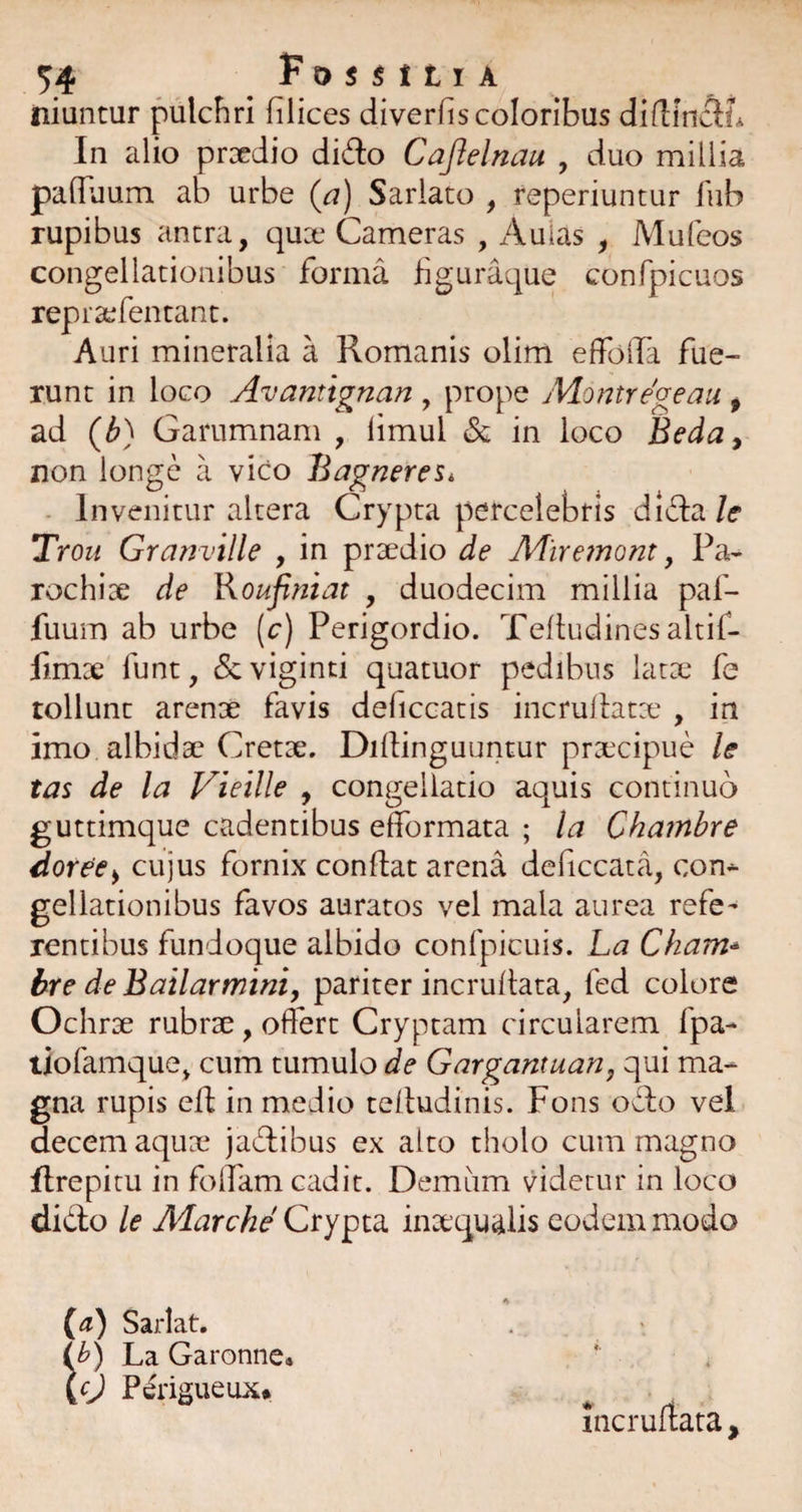 niuntur pulchri (ilices diver(is coloribus didindL In alio prxdio did:o Cajlelnau , duo millia palRium ab urbe (^i) Sariato , reperiuntur fub rupibus antra, quDt Cameras , Aulas , Mufeos congellationibus forma liguraque confpicuos repra^fentant. Auri mineralia a Romanis olim eflToira fue¬ runt in loco Avantignan , prope Alontregeaii, ad (b) Garumnam , limul & in loco Beda, non longe a vico BagnereSi - Invenitur altera Crypta percelebris dida Ic Trou Granville , in praedio de Afirewont, Pa¬ rochiae de Koufiniat , duodecim millia paf- fuum ab urbe (c) Perigordio. Tefludines altif- fimae funt, (Scviginti quatuor pedibus latae fe tollunt arenae favis deficcatis incruflatx , in imo albidae Cretae. Dirtinguuntur prxxipue le tas de la Vieille , congellatio aquis continuo guttimque cadentibus efformata ; la Chambre dor^e^ cujus fornix conflat arena deficcata, con* gellationibus favos auratos vel mala aurea refe^ rentibus fundoque albido confpicuis. La Cham^ bre deBailarmmt, pariter incruflata, fed colore Ochrae rubrae, offert Cryptam circularem fpa- tiofamque, cum tumulo de Gargantuan, qui ma¬ gna rupis efl in medio telludinis. Fons odo vel decem aqux* jadibus ex alto tholo cum magno flrepitu in folfam cadit. Demum videtur in loco dido le Marche Crypta inaequalis eodem modo Incruftata , (^) Sariat. ih) La Garonne. 0 P(^risueux*