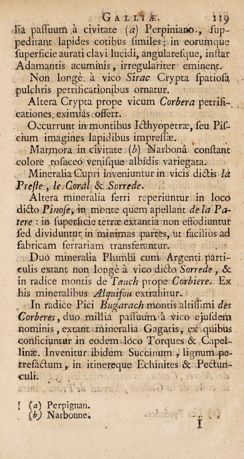 fia paffiium a civitate (a) Perpinianb/, fup- peditaiit lapides cotibus fimiles; in eorumque fuperficie aurati clavi lucidi, angularefque, inftar Adamantis acuminis, irregulariter eminent.* Non longe, a vico Sirac Crypta fpatiofa pulchris pecrificationibus oUnatur. Altera Crypta prope vicum Corbem petrih- cationes. eximias offert. Occurrunt mmontibus I(ffhyopetr2e, feu Piff eium imagines lapidibus imprefe. Marpiora. in civitate (/?) Narbona conflant 'colore .rofaceo venirque albidis variegata. Mineralia Cupri inveniunturin vicis didis la Trefle y le Cordi Sc Sotrede» Altera mineralia ferri reperiiintur in locd dido Pinofe, in monte quem apellant de Ia Pa¬ tere : in fnperlicieterrsc extantia non effodiuntur ied dividuntur, iri mimmas partfes, ut facilius fabricam ferrariam transferantur. . ' . Duo mineralia Plumbi curri Argenti, parti- culis extant: non longe a vico dido & in radice montis de Tmck prope Corbiere. Ex his mineralibus Aiquifou exiTRlmur. In radice Pici Bugarach montis altiffimi des C orber es, d uo mill ia pa ffuum a vico e)u (dem nominis, extant mineralia Gagatis., e^ quibus conficiuntur in eodem Joco Torques dc Capel- lin^. Invenitur ibidem Succinum , lignum..pe- trefadum ,, in itinereque Echinites & Tedun- culi. . >, - [ (a) Perpignan. , [hj Narbonne.