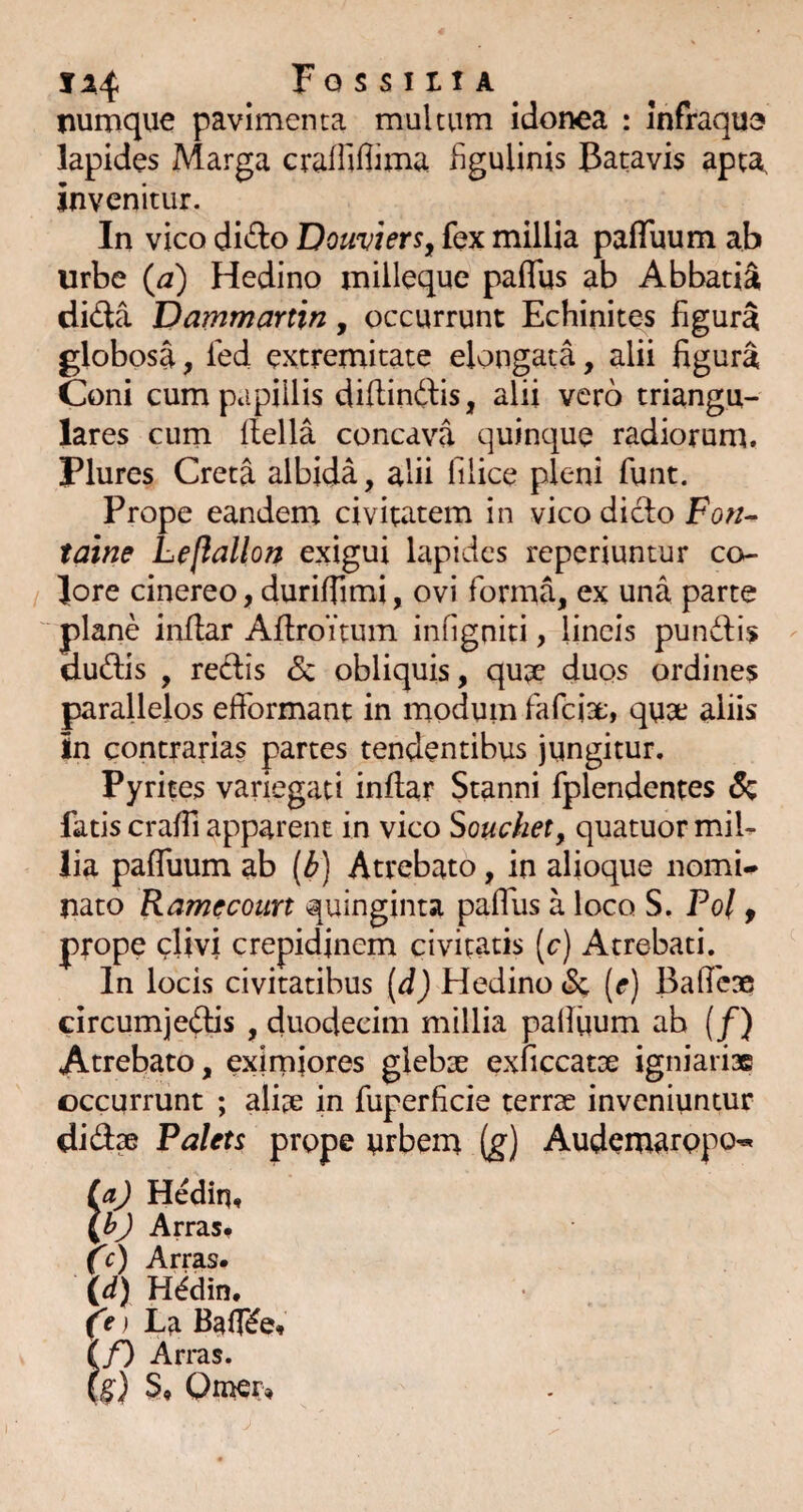 numque pavimenta multum idonea : infraqu3 lapides Marga craffiliima figuUnis Batavis apta, invenitur. In vico did:o Dcuviers^ fex millia pafTuum ab urbe {a) Hedino milleque paflTus ab Abbati^ di(Sa Dammartin, occurrunt Echinite^s figura globosa, fed extremitate elongata, alii figura Coni cum papillis difiinftis, alii vero triangu¬ lares curn llella concava quinque radiorum. Plures Creta albida, alii filice pleni funt. Prope eandem civitatem in vico dido Fow- taine Leflallon exigui lapides reperiuntur co¬ lore cinereo, duriffimi, ovi forma, ex una parte plane infiar Afiroituin infigniti, lineis pundis dudis , redis <5c obliquis, qu;3e duos ordines parallelos efformant in modum fafeia:, quae aliis in contrarias partes tendentibus jungitur. Pyrites variegati inflar Stanni fplendentes &; fatis crafii apparent in vico Souchet, quatuor mil¬ lia paffuum ab (^) Atrebato, in afioqiie nomi- nato Kamccourt quinginta paflus a loco S. Pol y prope clivi crepidinem civitatis [c) Atrebati. In locis civitatibus (d) Hedino & (e) Bafie» circumjedas , duodecim millia pafifium ah (/) Atrebato, eximjores glebae exficcatae igniariae occurrunt ; aliae in fuperficie terrae inveniuntur didae Palets prope urbem (g) Audemarppo^ {aj HediUt Arras, (c) Arras. (d) H^din. (f ^ La BaC^e, (/) Arras. (g) S, Qmer,