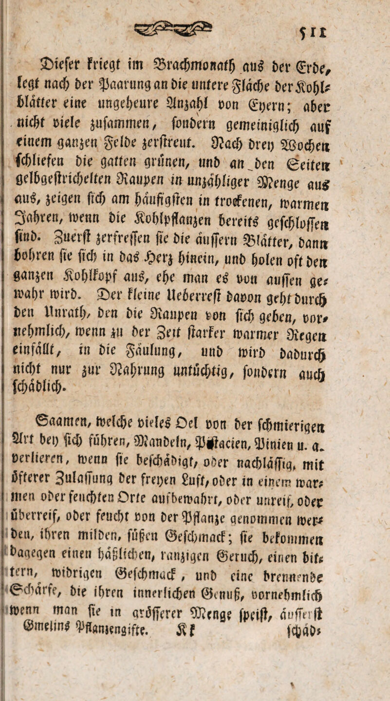 fit tiefer FvieQf im 93racbmottaflj aug ber &ie, fegt nach ber tiaarung an bie untere glacbe ber&ofjU hlutter eine ungeheure Slnjahl oon 0)ern; aber nicht Biele jufammen, foubern gemeiniglich auf einem ganjen gelbe jerftreut. SM) Drei; aßoefett fcbliefen bie gatten grünen, unb an_ben Qeitett ßelbgeftrtcbdfen Staupen in unjähliger ®enge au« eui«, jeigen fich am fjauftgfien in troefenen, warmen 3ahven, wenn bie Äoblpffanjen bereift gcfcljloffeit ftnb. Suevfl jerfreffen fte bie auffern «Blatter, bamt beftren fte ftcb in bat* -Oerj hinein, unb holen oft beit gaitjcn ^fofjlfopf atW, ehe man ei? uott auffen gee wahr wirb, ©er fleine Ueberref} baoon geht bnrc& bett Unrath, ben bie Staupen von ftcb geben, ttor» ttehtnlich, wenn ju ber Seit ffurfer warmer Siegelt einfadf, in bie gaulnng, unb wirb bobureft nicht nur jur Sprung untüchtig, fonbern auch fchablich- . , ©aamett. Welche BieleS Dd uon ber febmierigett Slrt bet) fiel) führen, SOJanbeln, 'Maden, füinien u. a. nerlteren, wenn fte befchabigt, ober nachläfftg. mit öfterer Sulalfung ber freyen 2uft,ober in einem war« men ober feuchten Orte aufbewabrt, ober unreif ober überreif, ober feucht Bon berf)3(lan$e oenoinnten wer* beit, ihren milben, fügen ©efebmaef; fte befommeit bauegen einen höflichen, ranjigen ©erudj, einen bit« ! tern, wibrigen ©efebmaef, unb eine brennenbe 1 Schürfe, bie ihren innerlichen ©enuß, Bornebmltdj . wenn man fte in «rüffercr SRenge fpeift, auffei ft ©meline ’Pffantengifte. Ölf fc|)äD> %