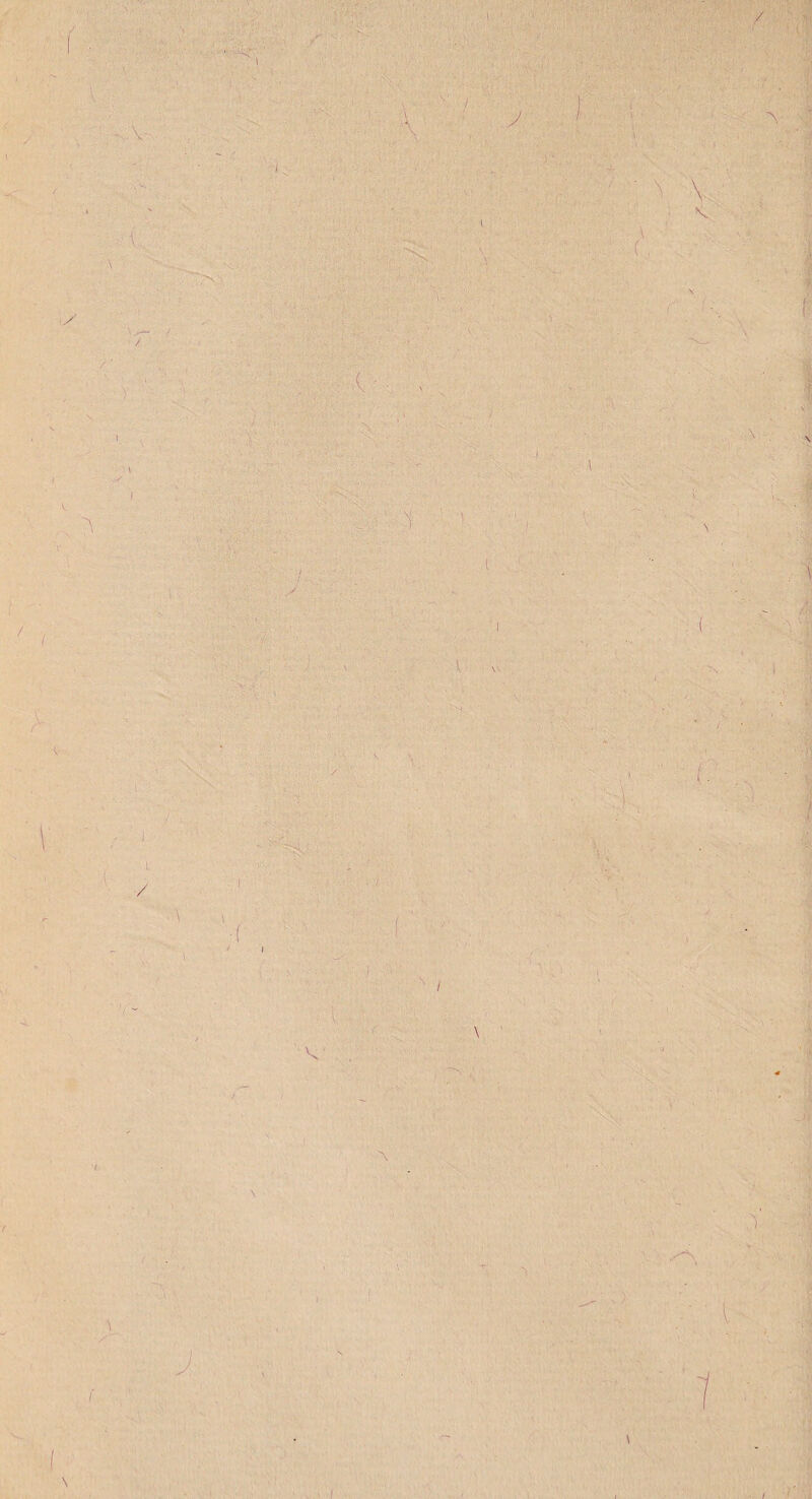 I Y. ■ ■ • - ’ . - • •• , • ■ ' , • . - V v I K y v / Y . 1 •: V 1 , : «, j - N / V . \ l I