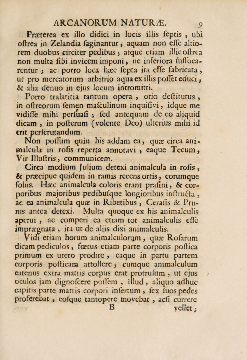 Praeterea ex illo didici in locis illis feptis , ubi oftrea in Zelandia faginantur, aquam non effe altio- rem duobus circiter pedibus 5 atque etiam illic oftrea non multa fibi invicem imponi, ne inferiora fuffoca- rentur j ac porro loca lisc fepra ita efTe fabricata, ut pro mercatorum arbitrio aqua ex illis pollet educi, & alia denuo in ejus locum intromitti. Porro tralatitia tantum opera , otio deftitutus , in oftreorum femen mafculinum inquifivi, idque me vidifte mihi perfuafi •> fed antequam de eo aliquid dicam , in pofterum (volente Deo) ulterius mihi id erit perfcrutandum. Non polium quin his addam ea, qu^ circa ani- malcula in rofis reperta annotavi > eaque Tecum, Virilluftris, communicem. Circa medium Julium detexi animalcula in rofis, & praecipue quidem in ramis recens ortis, eorumque foliis. Haec animalcula coloris erant prafini, &c cor¬ poribus majoribus pedibufque longioribus inftructa , ac ea animalcula quse in Ribetibus , Cerafis & Pru¬ nis antea detexi. Multa quoque ex his animalculis aperui , ac comperi ea etiam tot animalculis efte impraegnata , ita ut de aliis dixi animalculis. Vidi etiam horum animalculorum , qux Rofarum dicam pediculos, foetus etiam parte corporis poftica primum ex utero prodire , eaque in partu partem corporis pofticam attollere > cumque animalculum eatenus extra matris corpus erat protrufum , ut ejus oculos jam dignofcere poftem , illud, aliquo adhuc capitis parte marris corpori infertum , fex luos pedes proferebat , eolque tantopere movebat , acfi currere B vellet;