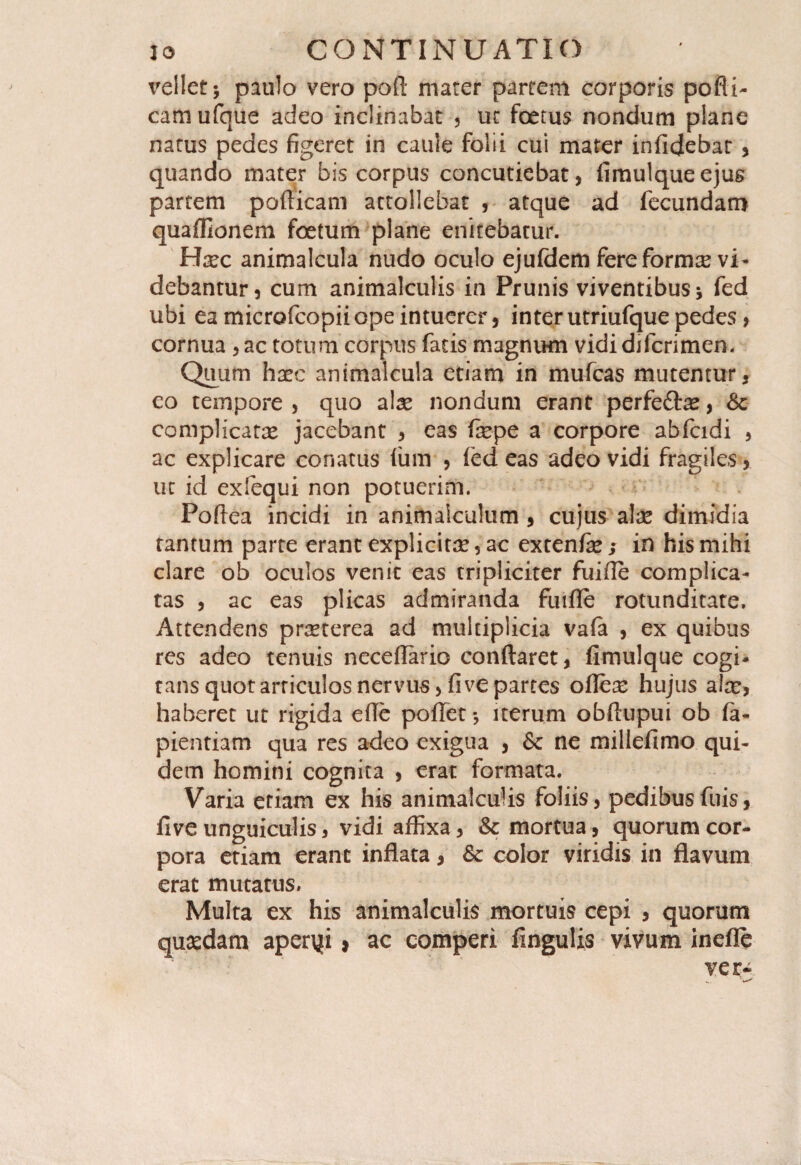 vellet; paulo vero poft mater partem corporis pofli- camufque adeo inclinabat , ut foetus nondum plane natus pedes figeret in caule folii cui mater inficiebat , quando mater bis corpus concutiebat, fimulqueejus partem pofficam attollebat , atque ad fecundam quaffionem foetum plane enitebatur. Hsec animalcula nudo oculo ejuldem fere formas vi¬ debantur , cum animalculis in Prunis viventibus; fed ubi ea microfcopiiope intuerer, interutriufquepedes, cornua ,ac totum corpus fatis magnum vididifcrimen. Quum haec animalcula etiam in mufcas mutentur, eo tempore, quo alae nondum erant perfedte, Sc complicatae jacebant , eas fcpe a corpore abfcidi , ac explicare conatus fum , ied eas adeo vidi fragiles, ut id exfequi non potuerim. Poffea incidi in animaiculum , cujus alae dimidia tantum parte erant explicitae 5 ac extenfe; in his mihi clare ob oculos venit eas tripliciter fuiffe complica¬ tas , ac eas plicas admiranda fuifle rotunditate. Attendens praeterea ad multiplicia vafa , ex quibus res adeo tenuis neceffario conflaret, fimulque cogi* rans quot articulos nervus, fi ve partes ofleae hujus alae, haberet ut rigida efle poflet; iterum obflupui ob la- pientiam qua res adeo exigua , & ne millefimo qui¬ dem homini cognita , erat formata. Varia etiam ex his animalculis foliis, pedibusfuis, five unguiculis, vidi affixa, & mortua, quorum cor¬ pora etiam erant inflata, & color viridis in flavum erat mutatus. Multa ex his animalculis mortuis cepi , quorum quasdam aperyi , ac comperi lingulis vivum inefle ver-