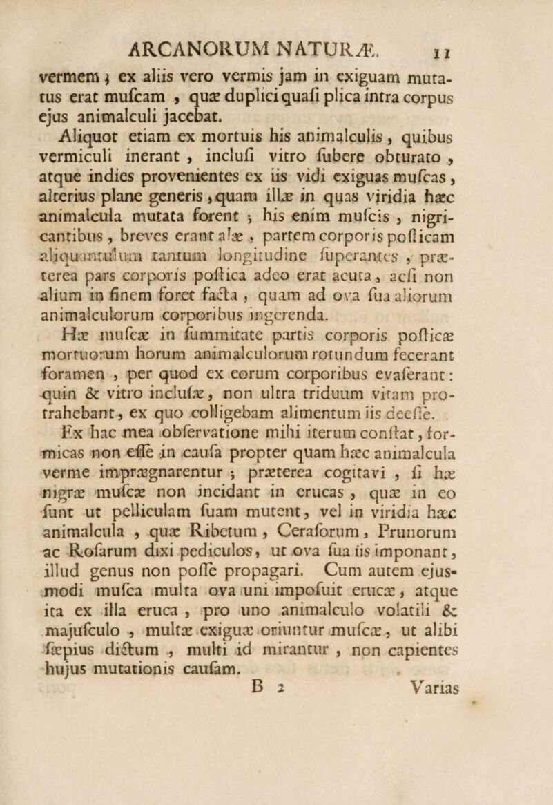 vermem ^ ex aliis vero vermis jam in exiguam muta¬ tus erat mufcam , qua? duplici quafi plica intra corpus ejus animalculi jacebat. Aliquot etiam ex mortuis his animalculis, quibus vermiculi inerant , inclufi vitro fiibere obturato , atque indies provenientes ex iis vidi exiguas mufcas , alterius plane generis ,quam illae in quas viridia haec animalcula mutata forent *, his enim mufcis , nigri¬ cantibus, breves erant alae.? partem corporis pofiicam aliquintuKim tantum longitudine fiiperantes , prae¬ terea pars corporis poftica adeo erat acuta , aefi non alium in finem foret fafta , quam ad ova fua aliorum animalculorum corporibus ingerenda. Hae mufcas in fummitate partis corporis poftic^ mortuorum horum animalculorum rotundum fecerant foramen , per quod ex eorum corporibus evaferant: quin & vitro indufae , non ultra triduum vitam pro¬ trahebant, ex quo colligebam alimentum iis deefle. Ex hac mea obfervatione mihi iterum conilat, for¬ micas non cfle in caufa propter quam haec animalcula verme impraegnarentur *, praeterea cogitavi , fi hx nigrae mufeae non incidant in erucas , quae in eo funt ut pelliculam fuam mutent, vel in viridia haec animalcula , qua: Ribetum , Ceraforum a Prunorum ac Rofarum dixi pediculos, ut ova fua iis imponant, illud genus non pofic propagari. Cum autem ejus¬ modi mufea multa ova uni impofuit erucae, atque ita ex illa eruca , pro uno animalculo volatili majufculo , multa: exigua: oriuntur mufeae, ut alibi faepius diftum , multi id mirantur , non capientes hujus mutationis caulam. B 2 Varias